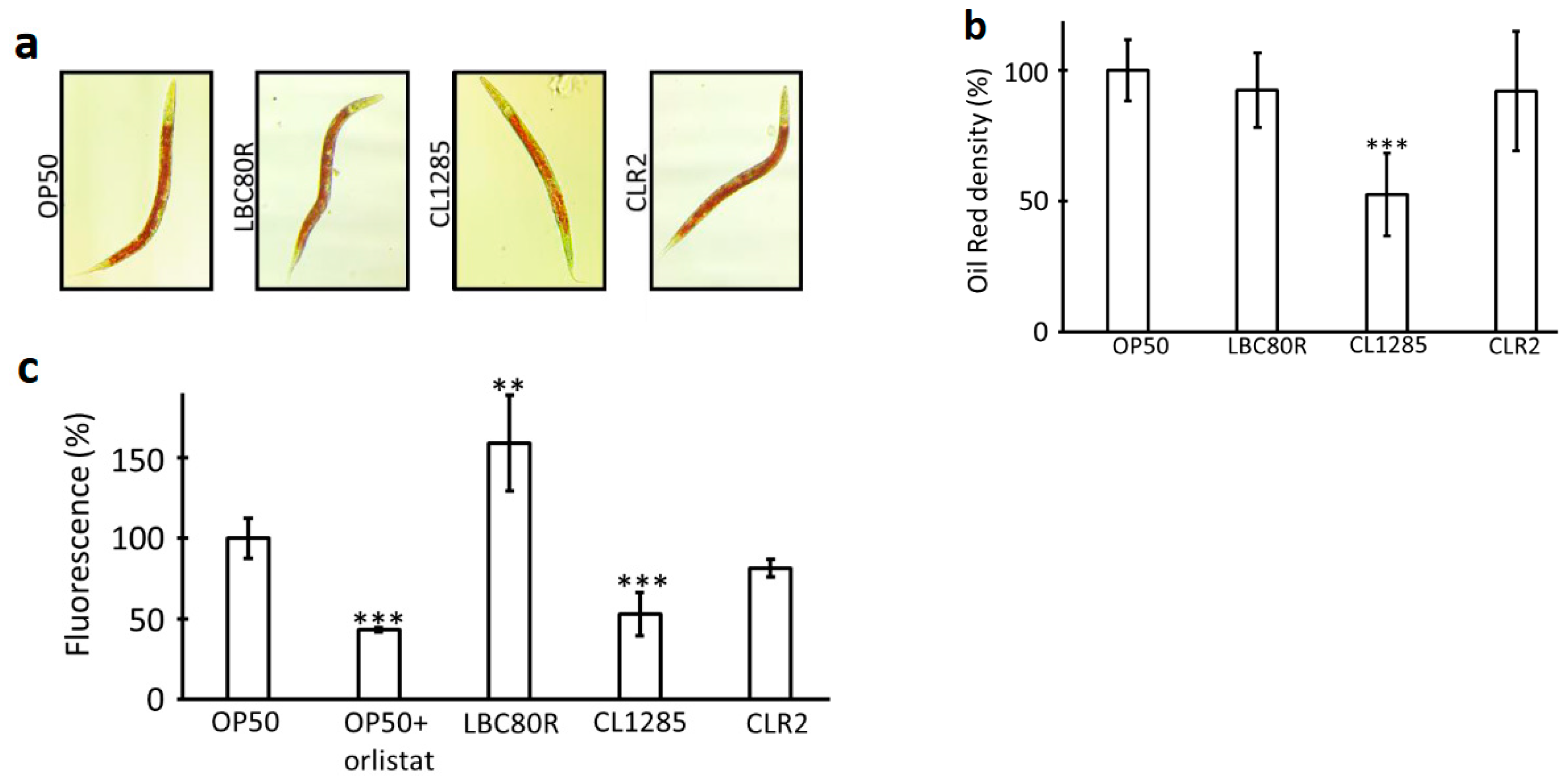 Microorganisms 12 01036 g001