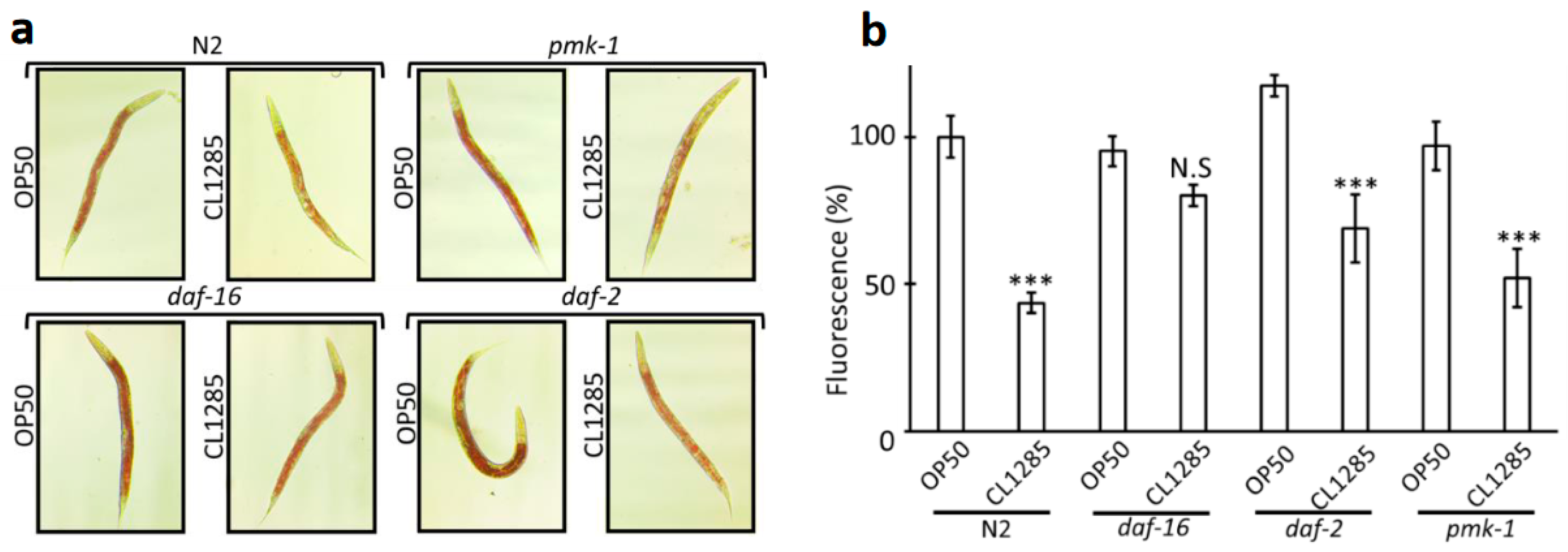 Microorganisms 12 01036 g006