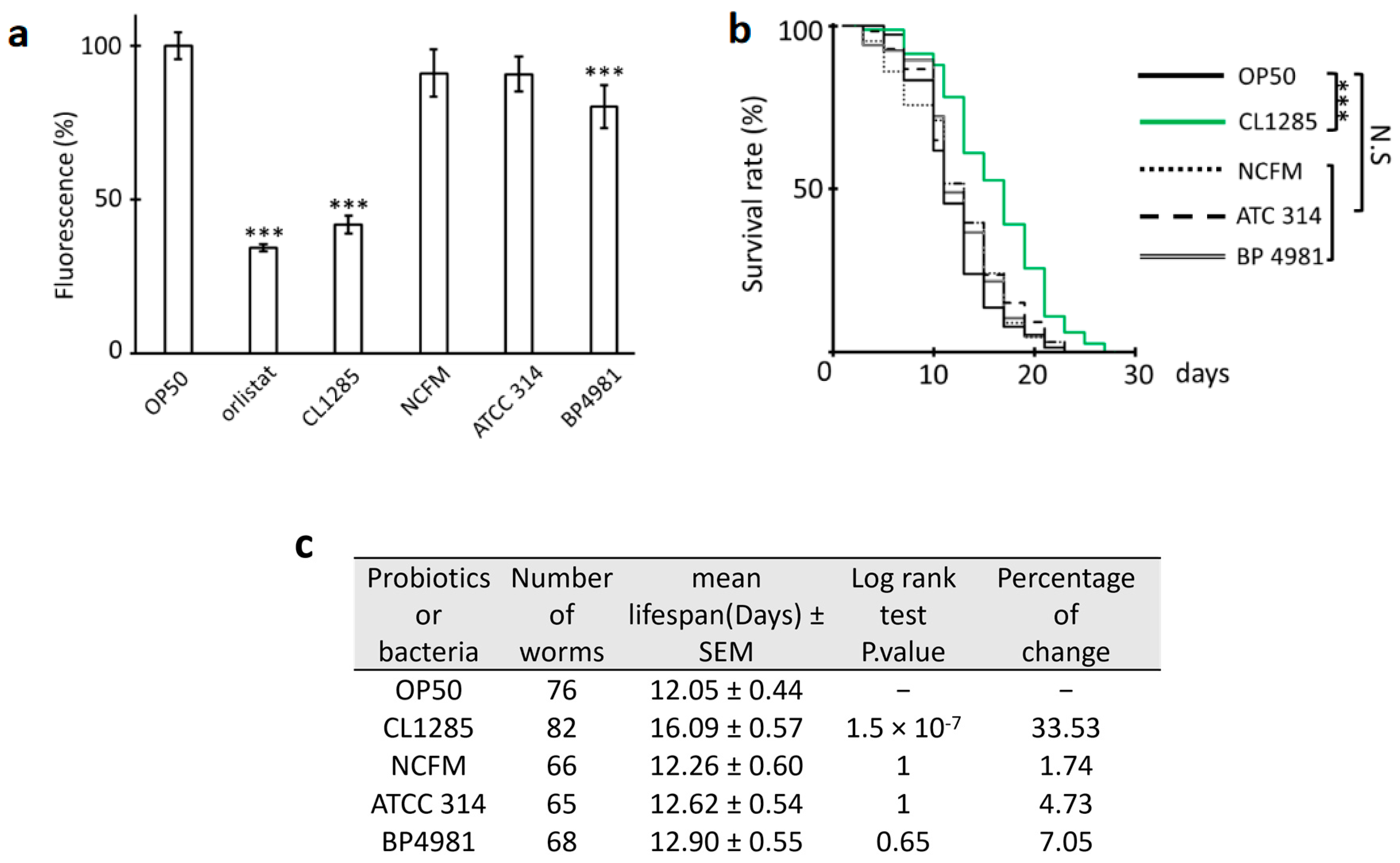 Microorganisms 12 01036 g008