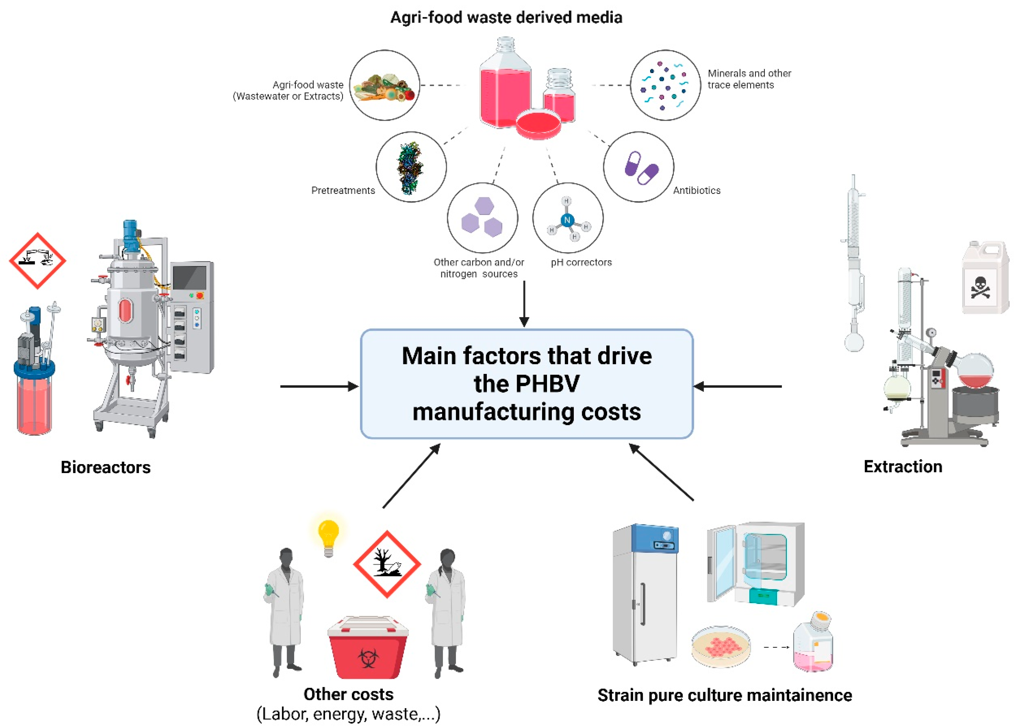 Microorganisms 12 01038 g003