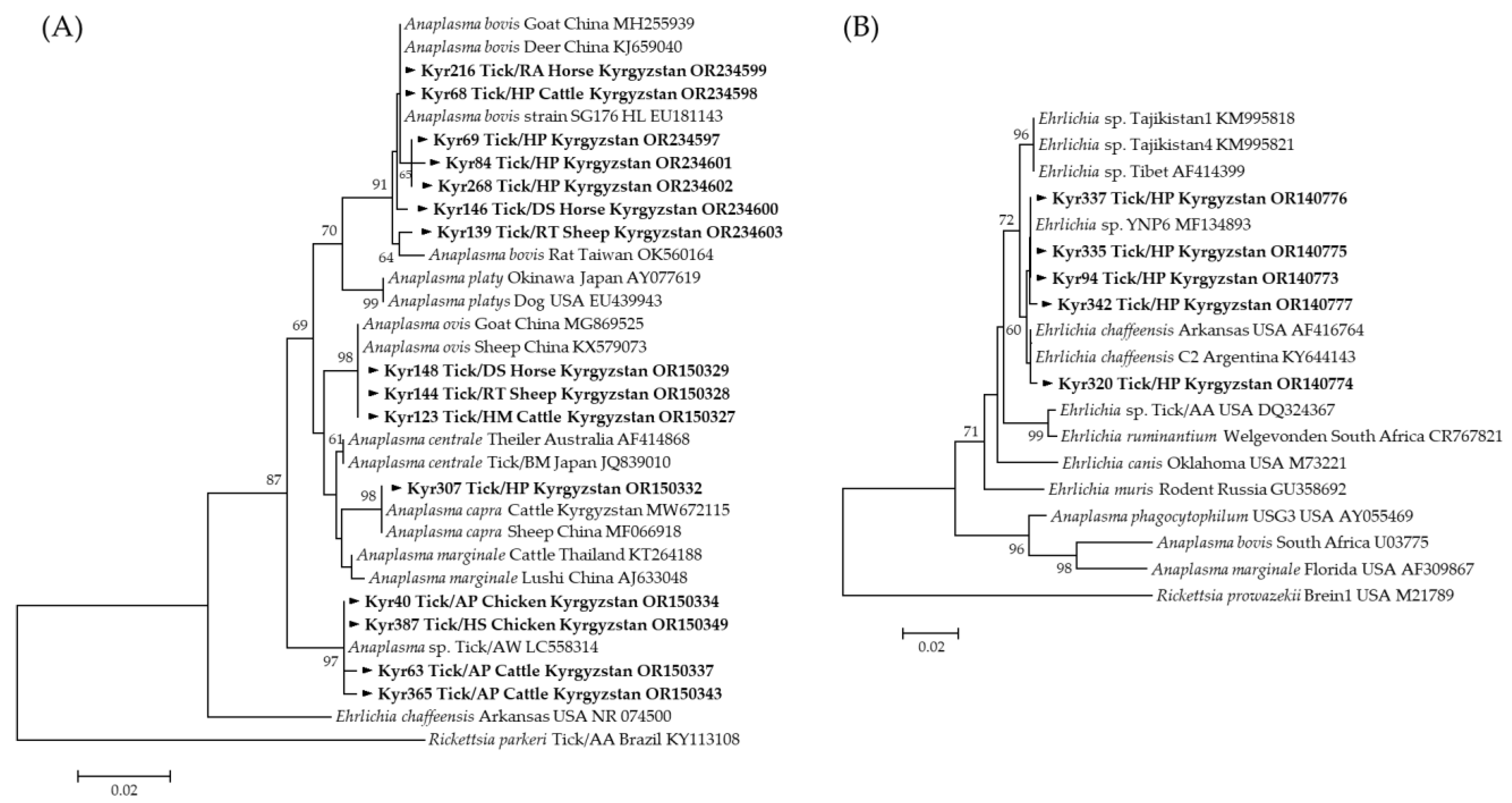 Microorganisms 12 01046 g003