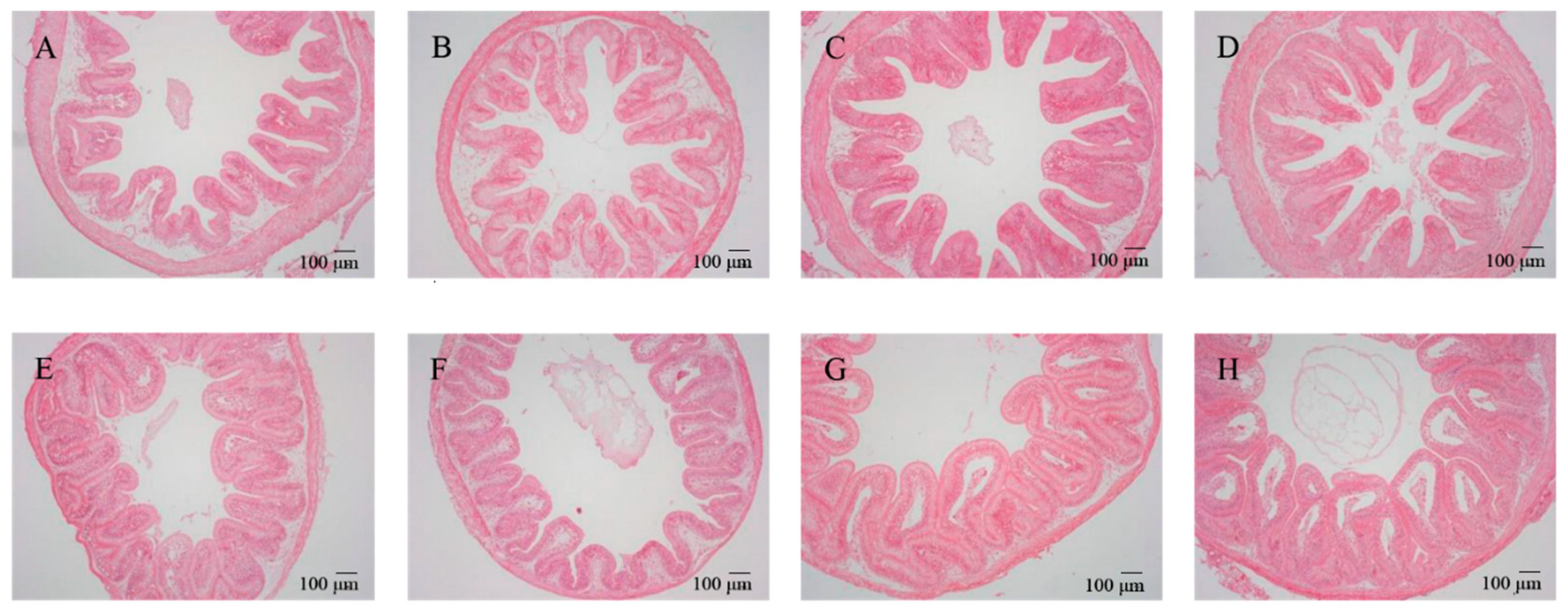Microorganisms 12 01049 g001 Microorganisms 12 01049 g001