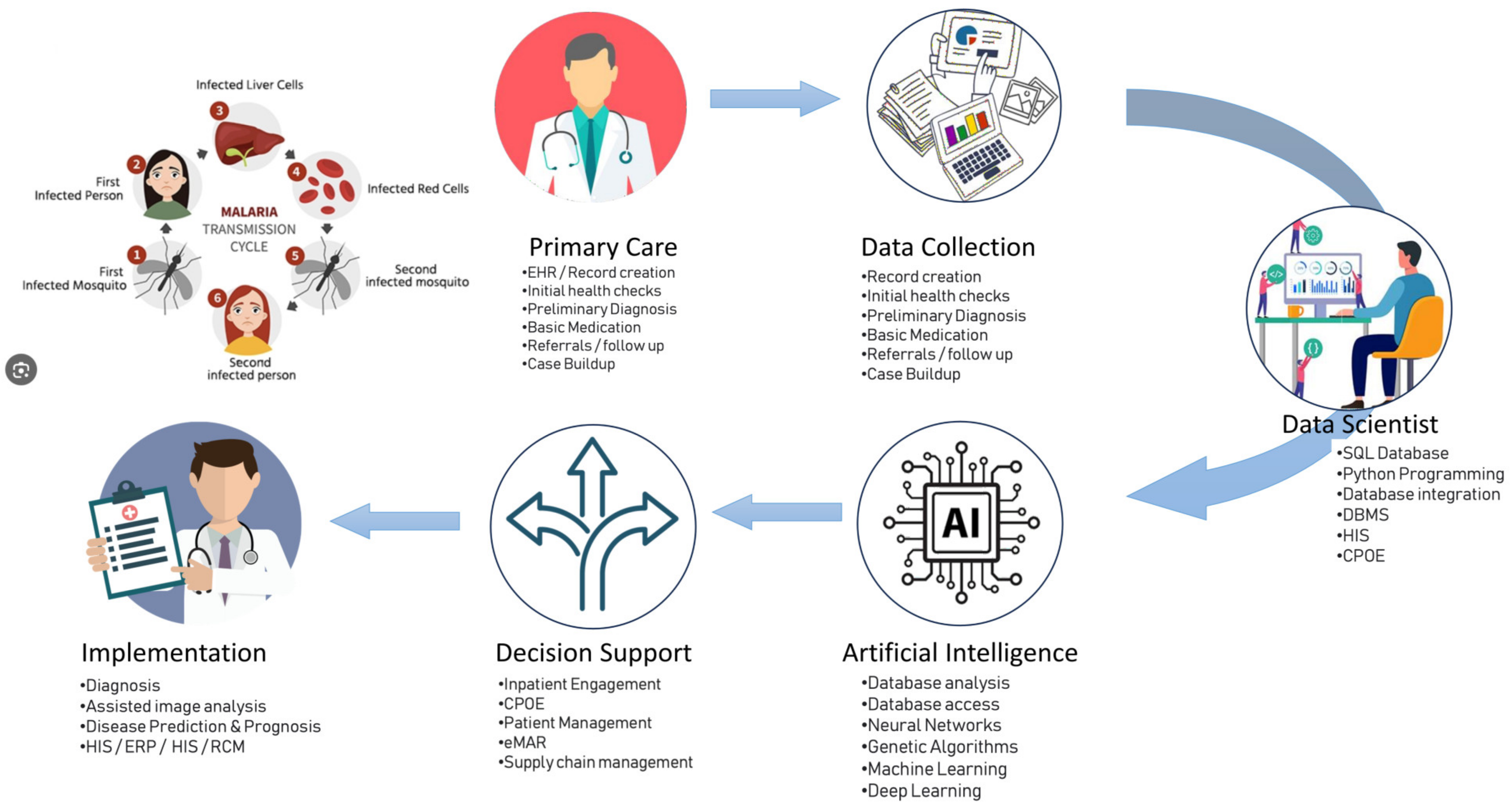 Microorganisms 12 01051 g003