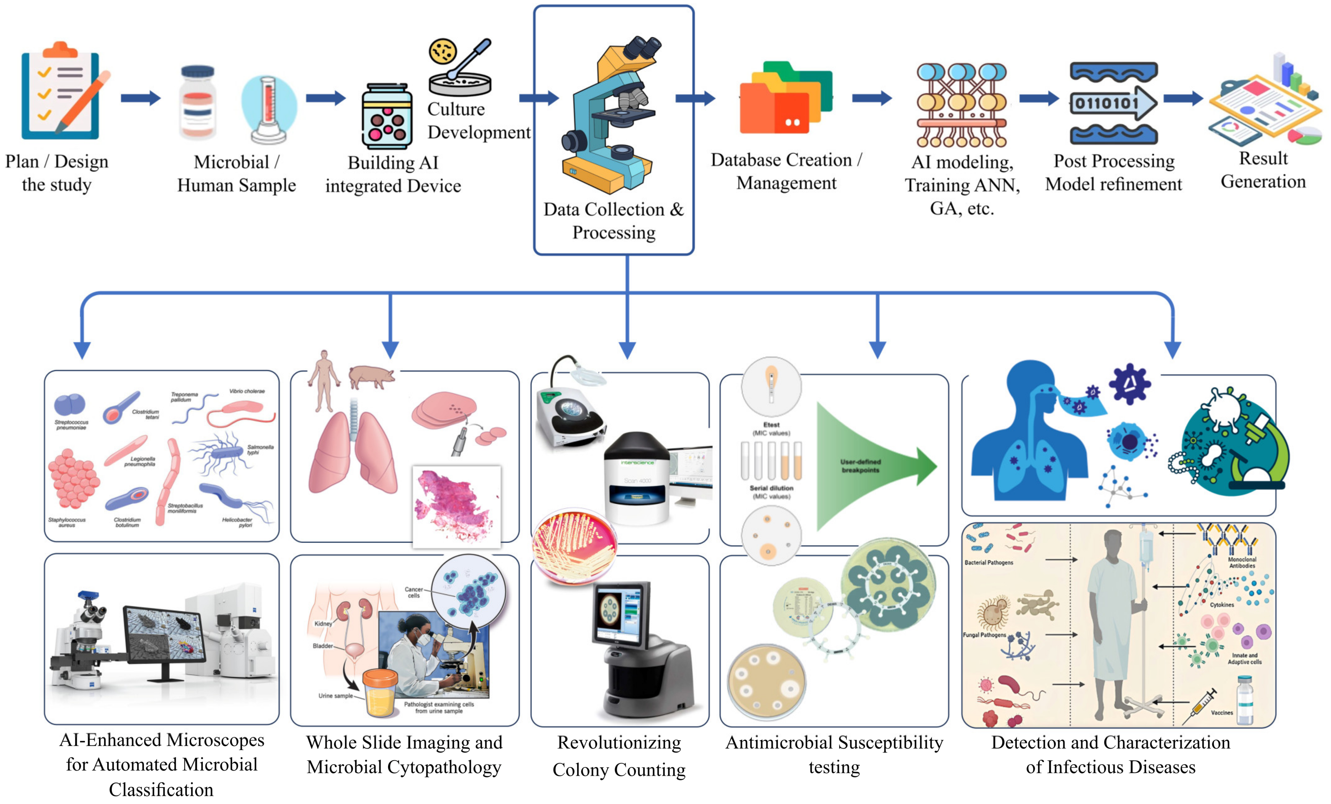 Microorganisms 12 01051 g004