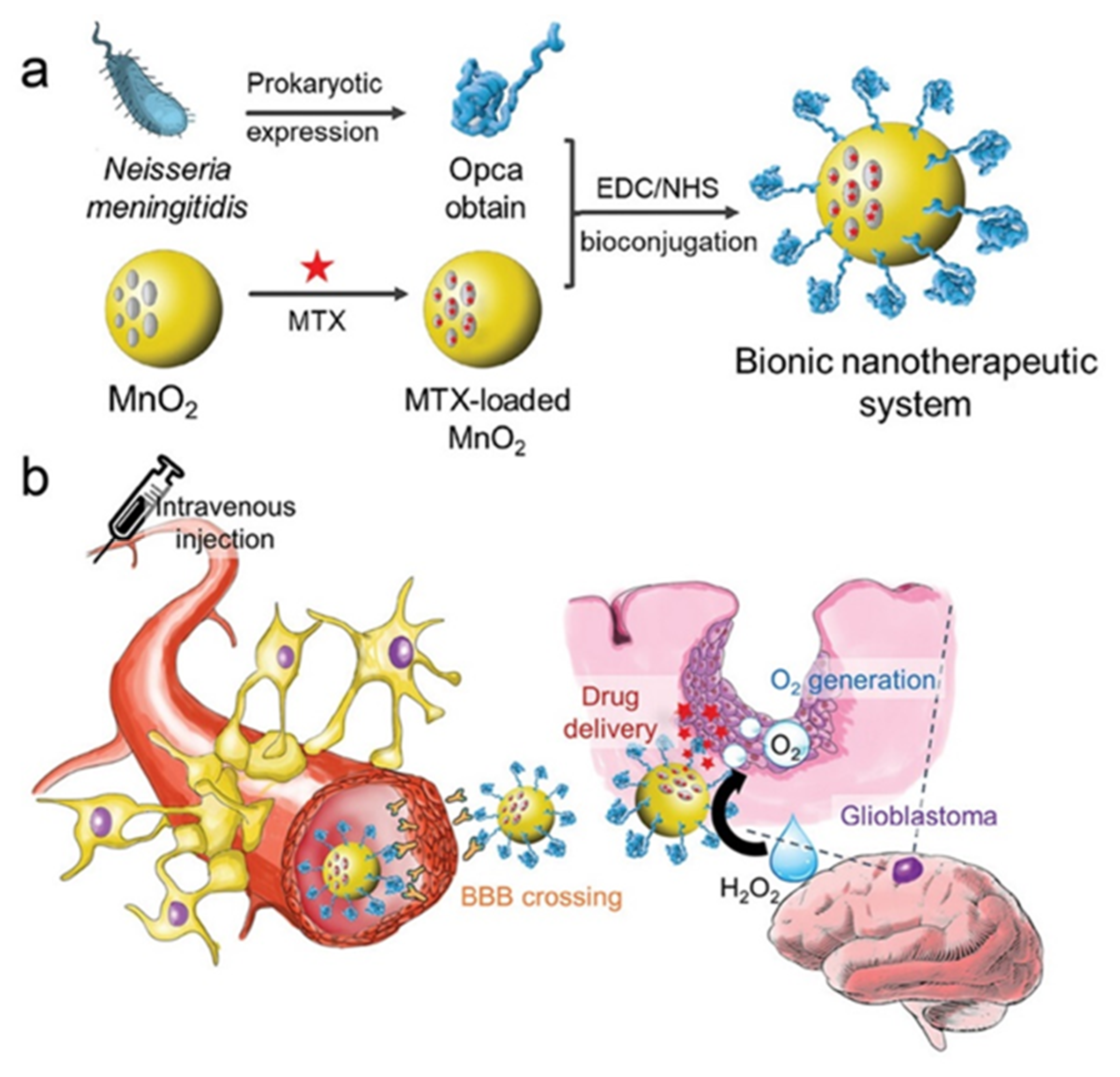 Microorganisms 12 01053 g003