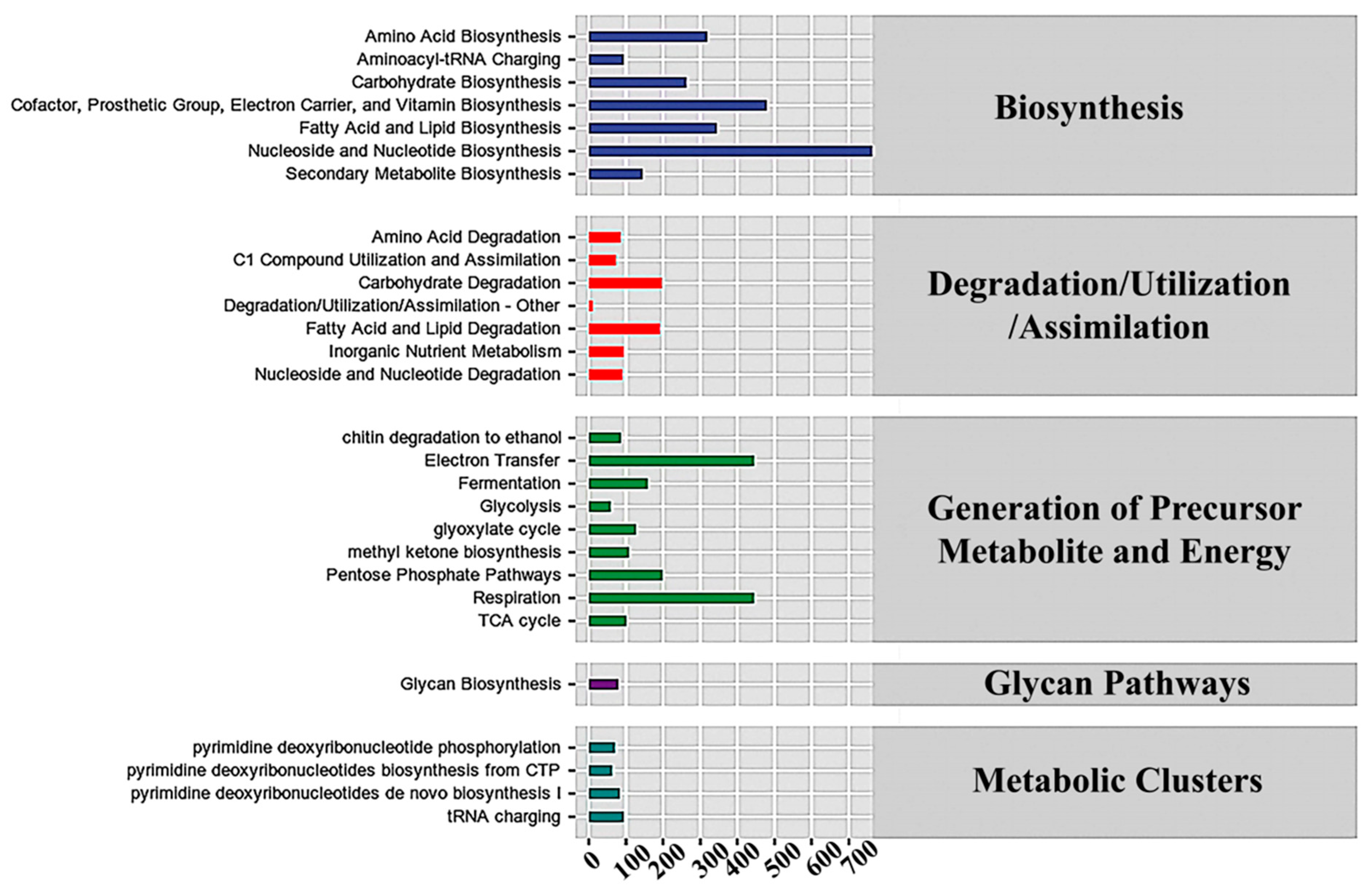 Microorganisms 12 01059 g008