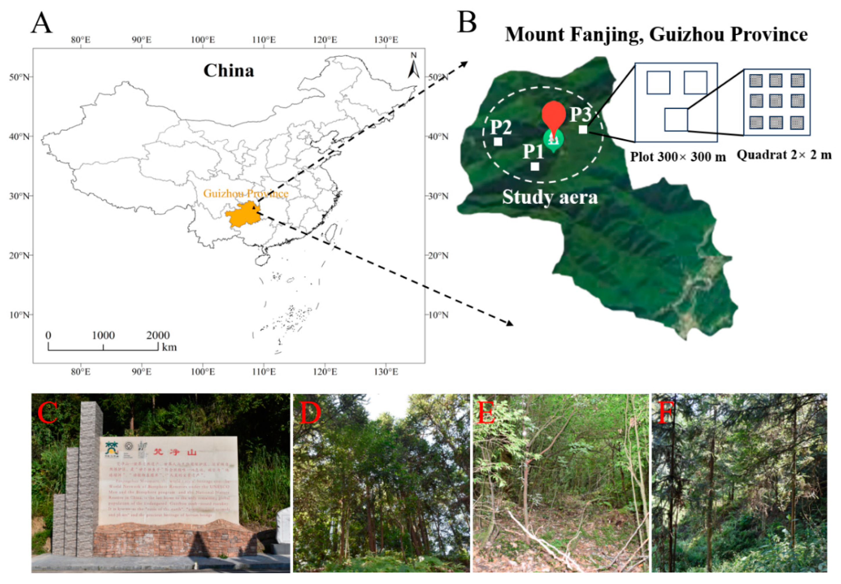 Microorganisms 12 01061 g002