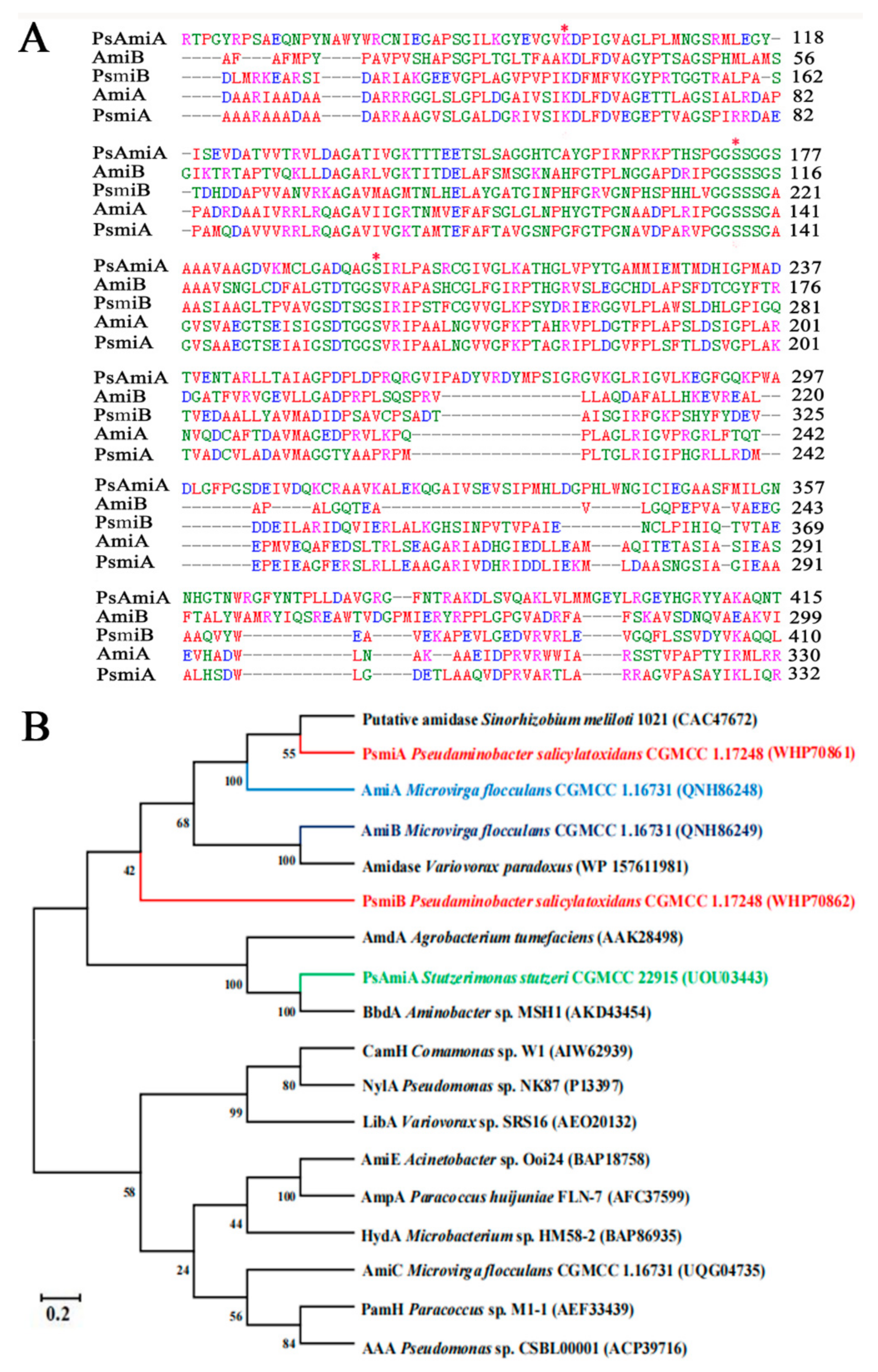Microorganisms 12 01063 g004