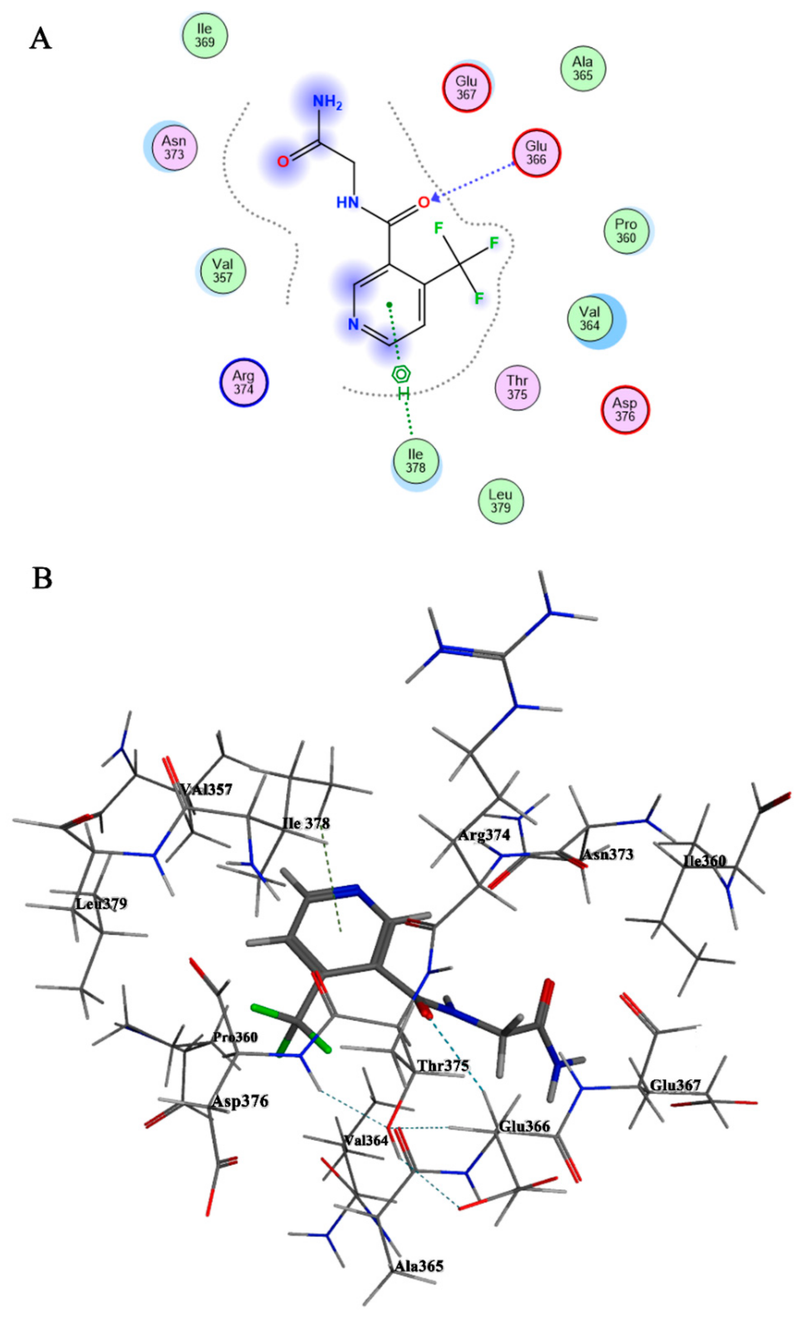 キネティクスフロー Kinetics Flow - TASK GOLF – Jacobs3D Japan