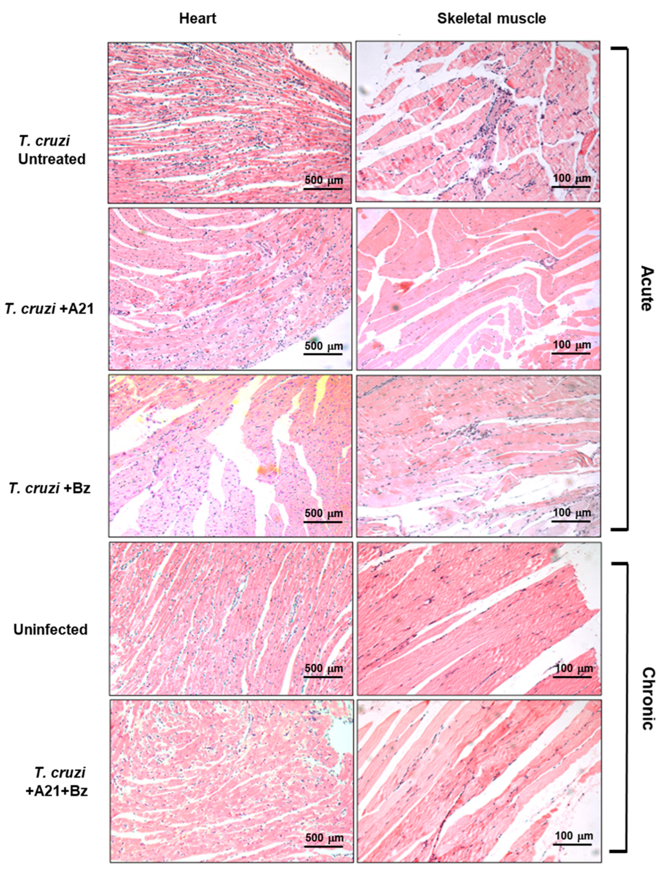 Microorganisms 12 01064 g008