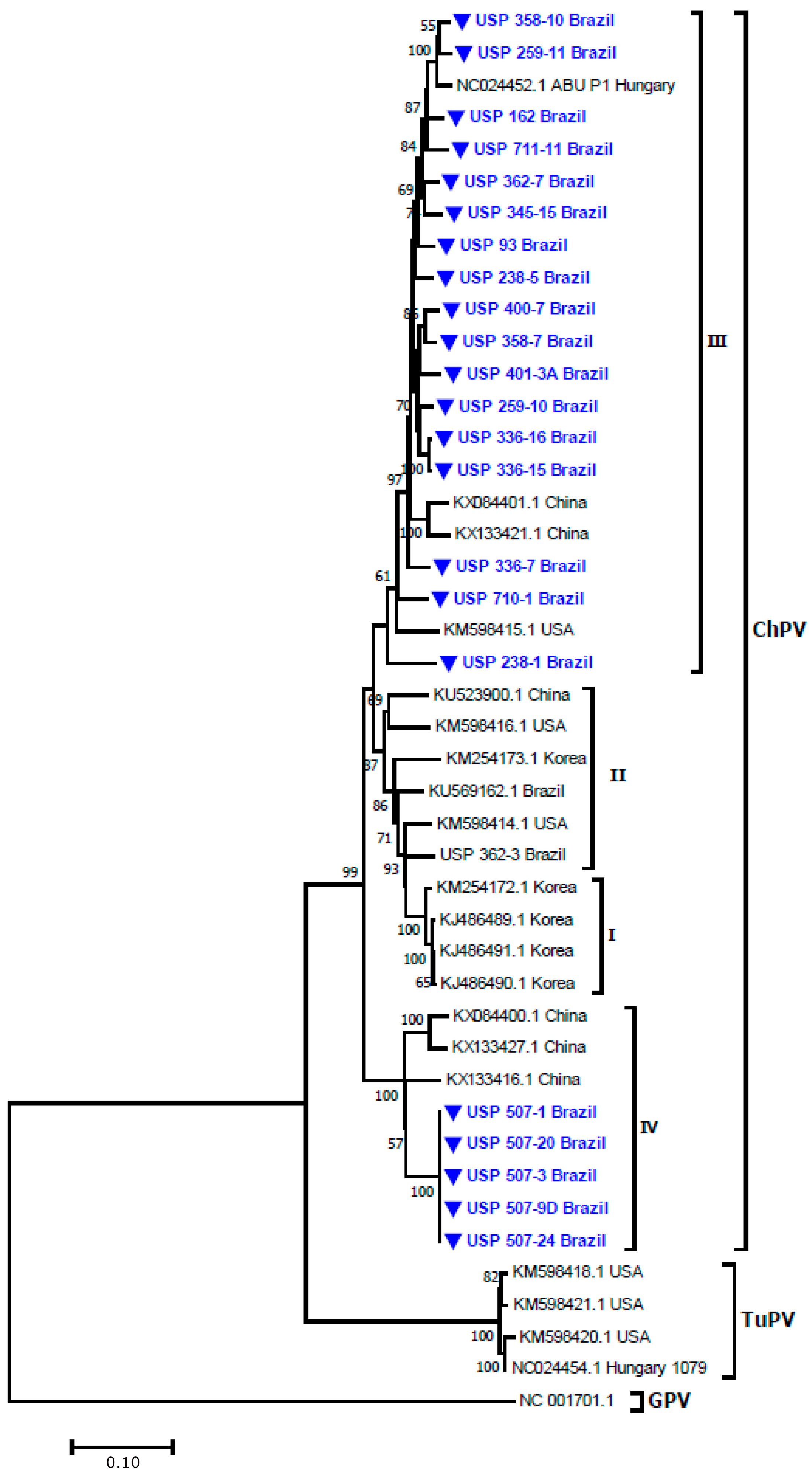 Microorganisms 12 01065 g001
