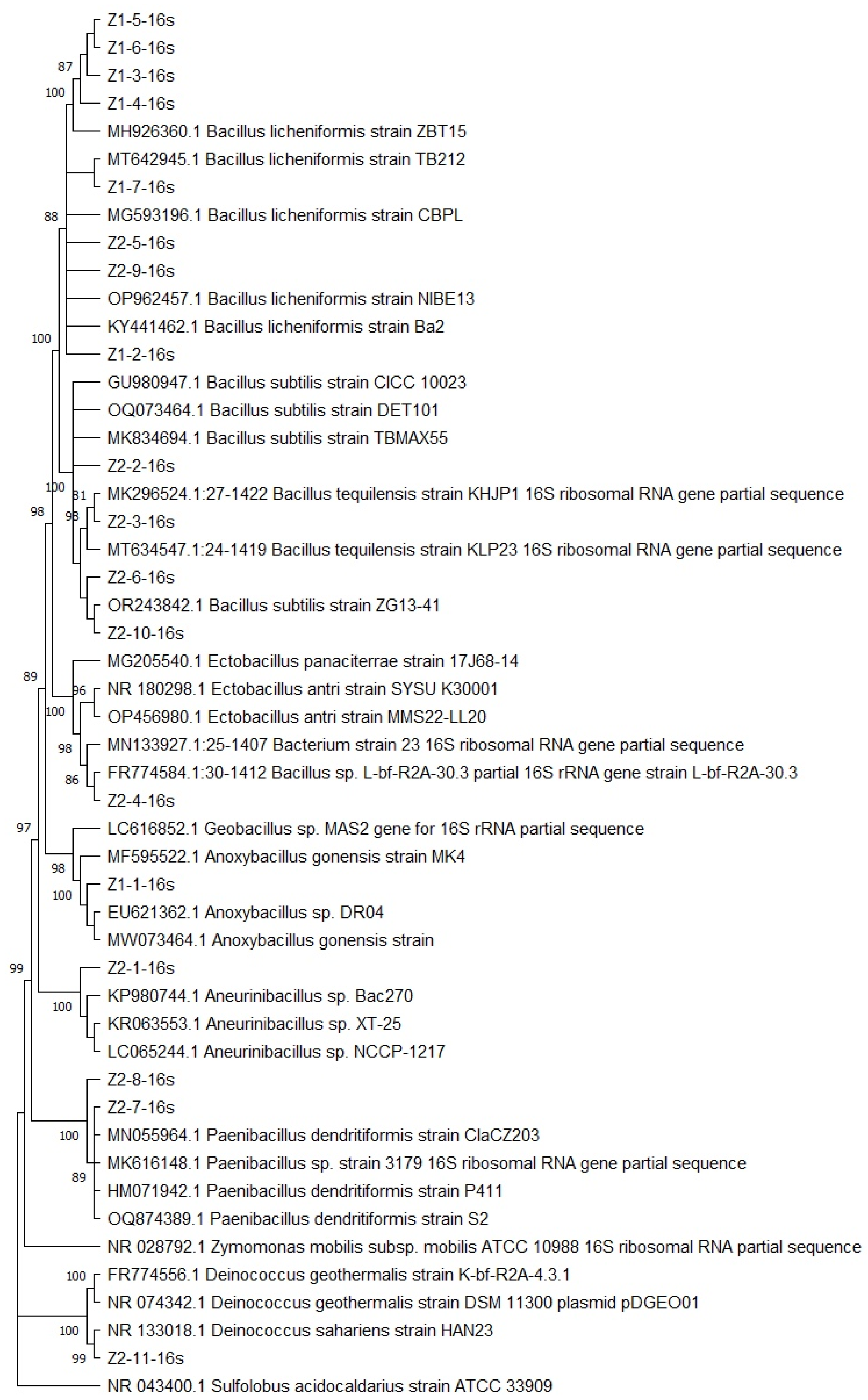Microorganisms 12 01066 g003