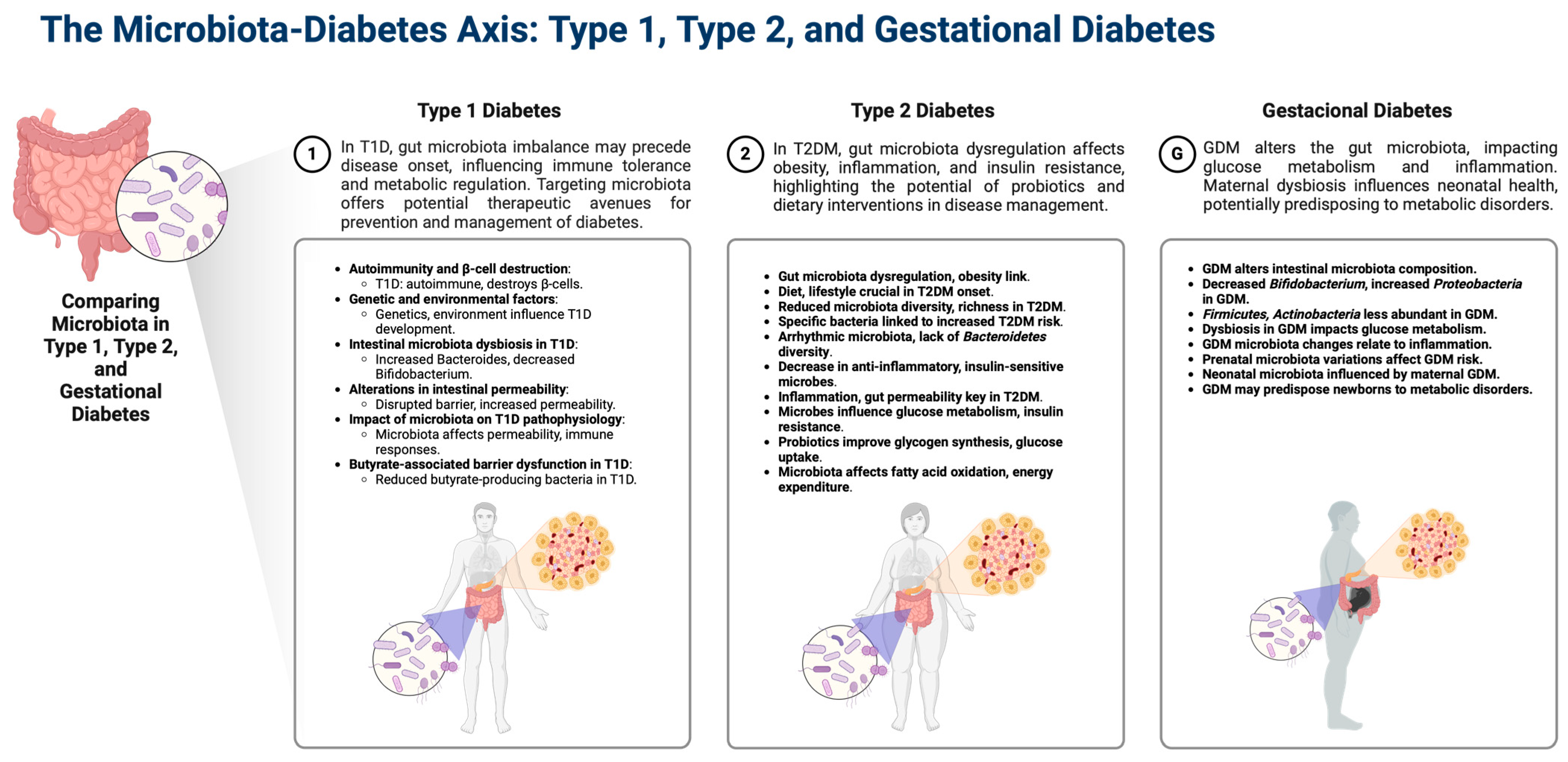 Microorganisms 12 01070 g001