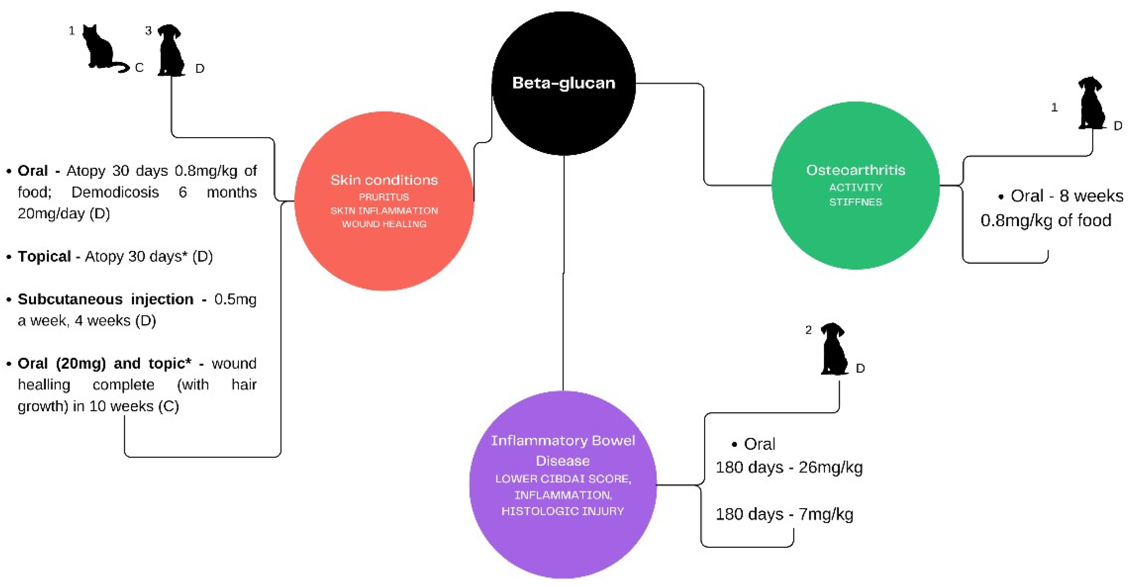 Microorganisms 12 01071 g001