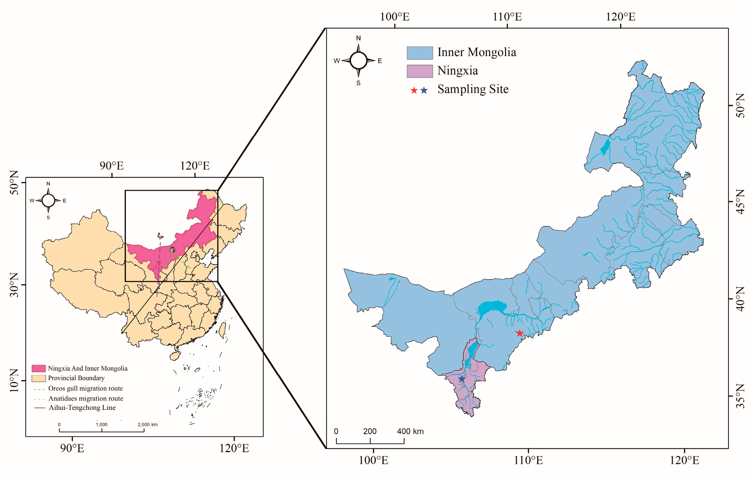 Microorganisms 12 01076 g001