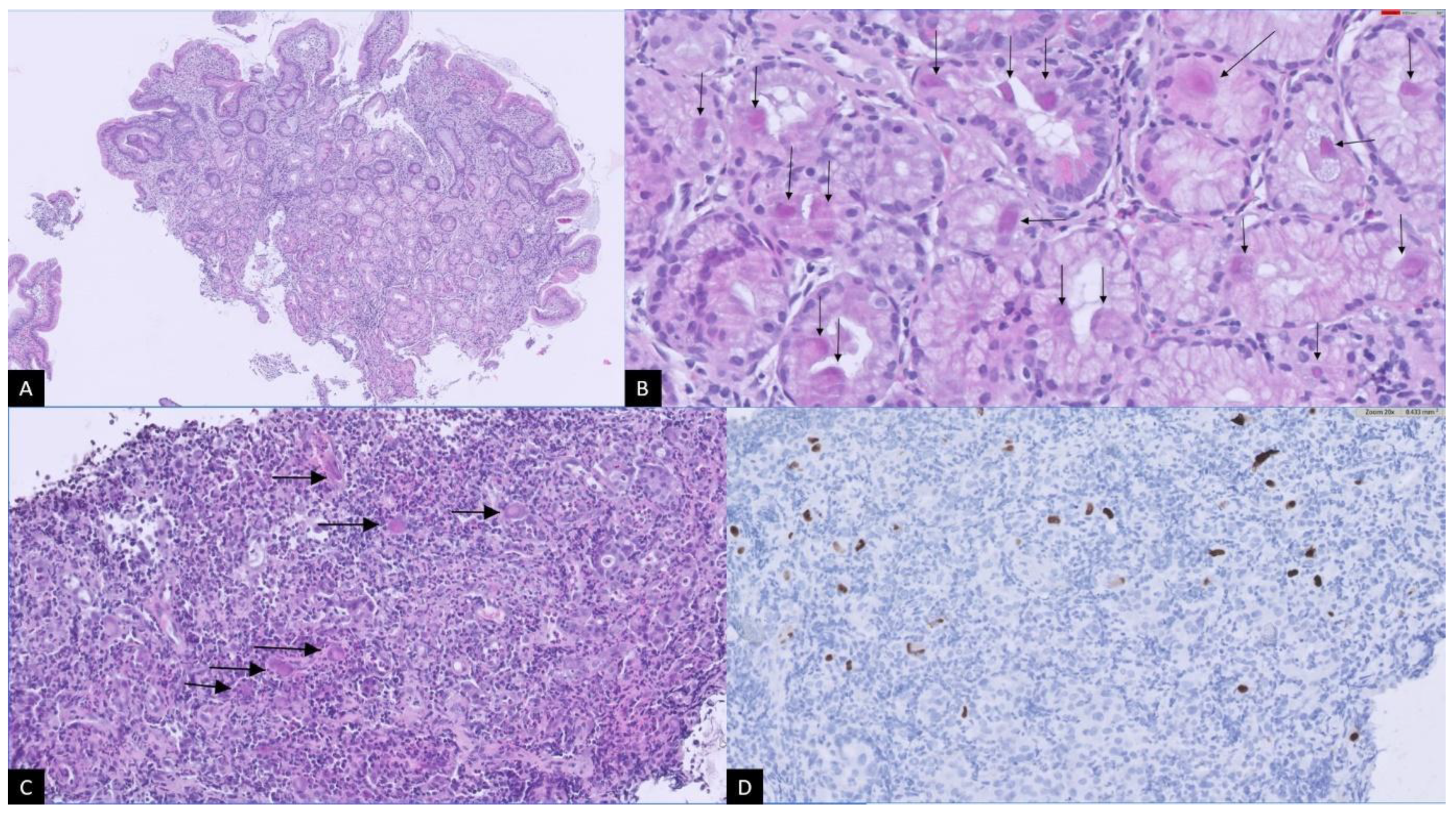 Microorganisms 12 01078 g002