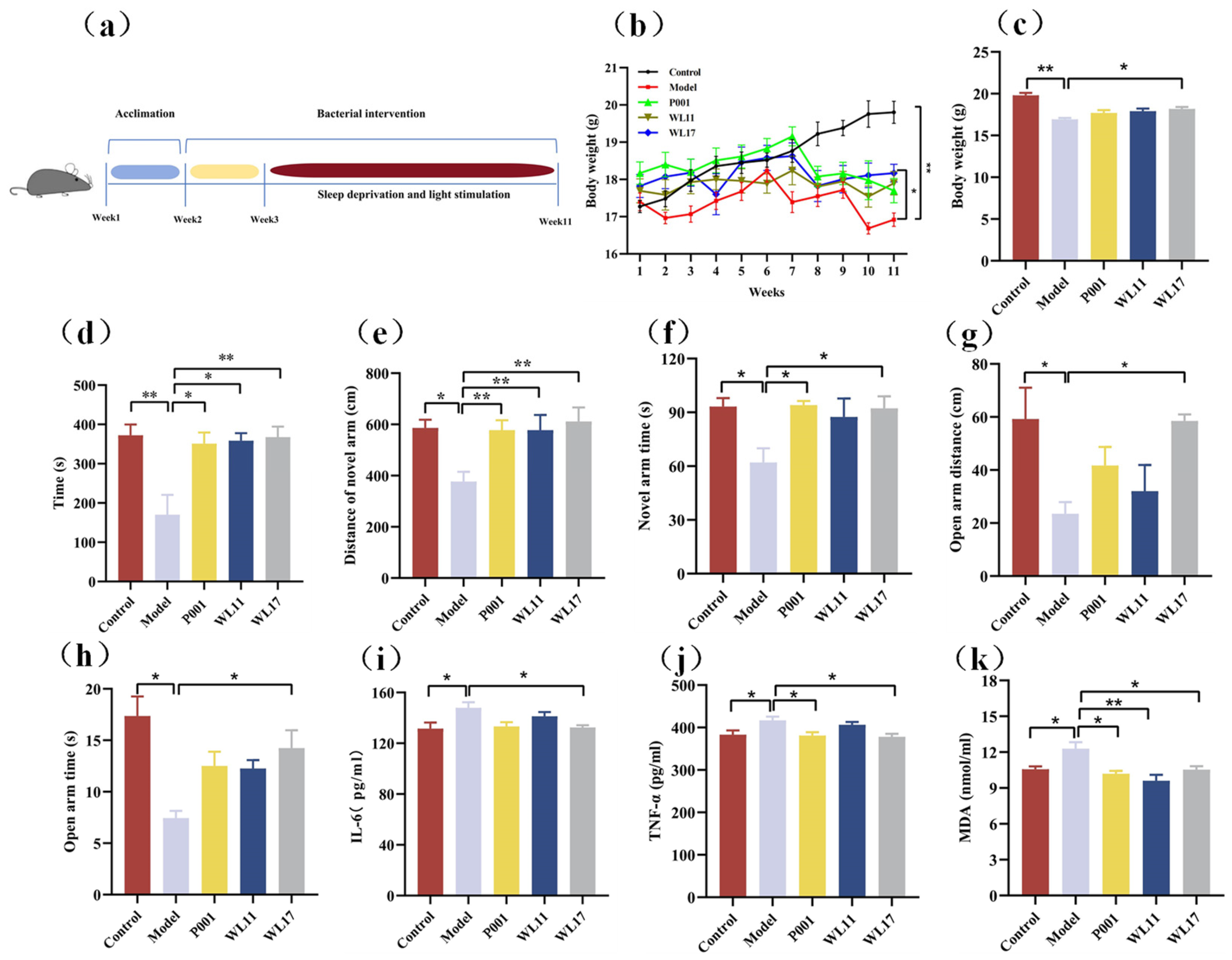 Microorganisms 12 01081 g005