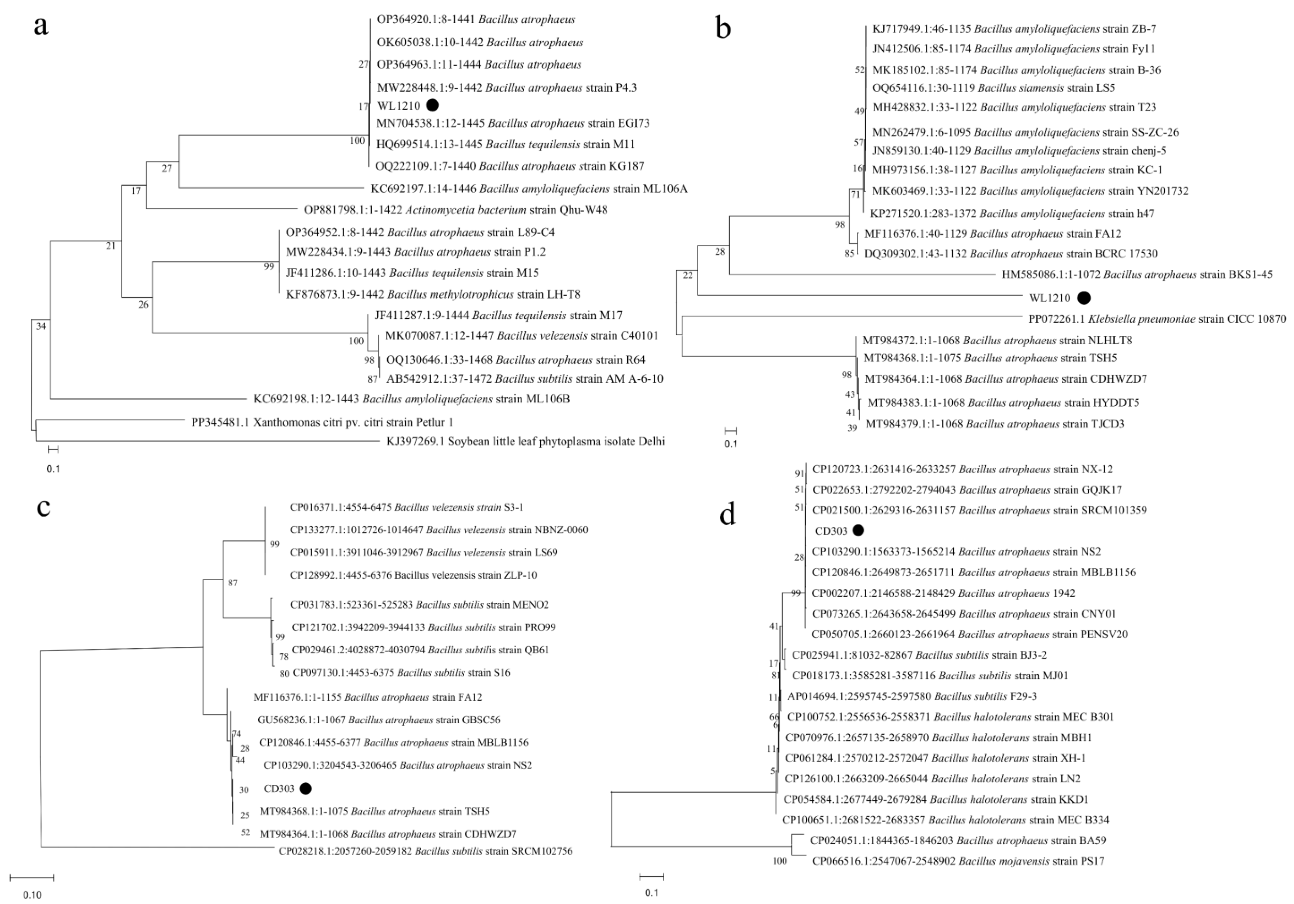 Microorganisms 12 01083 g005