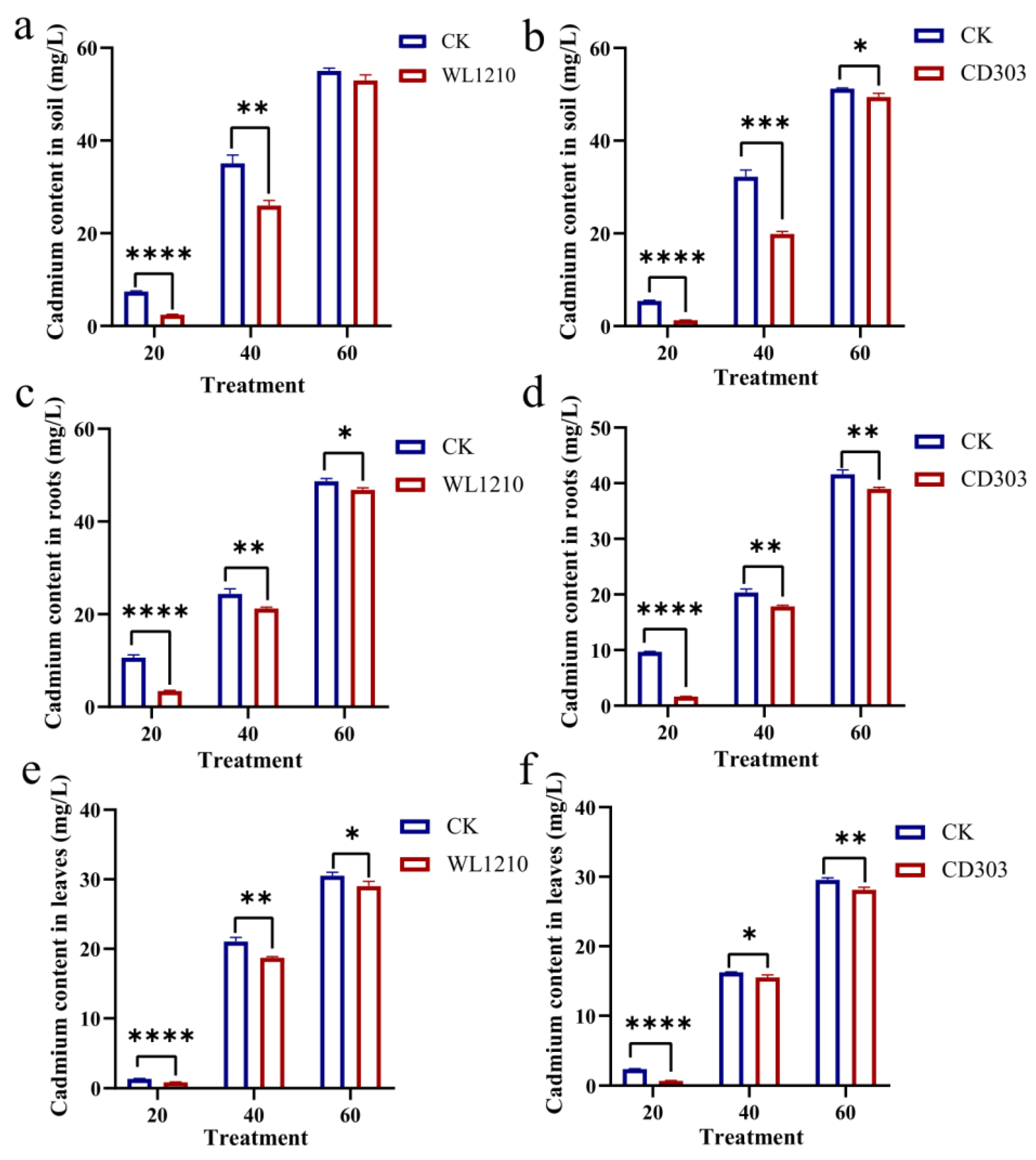 Microorganisms 12 01083 g008