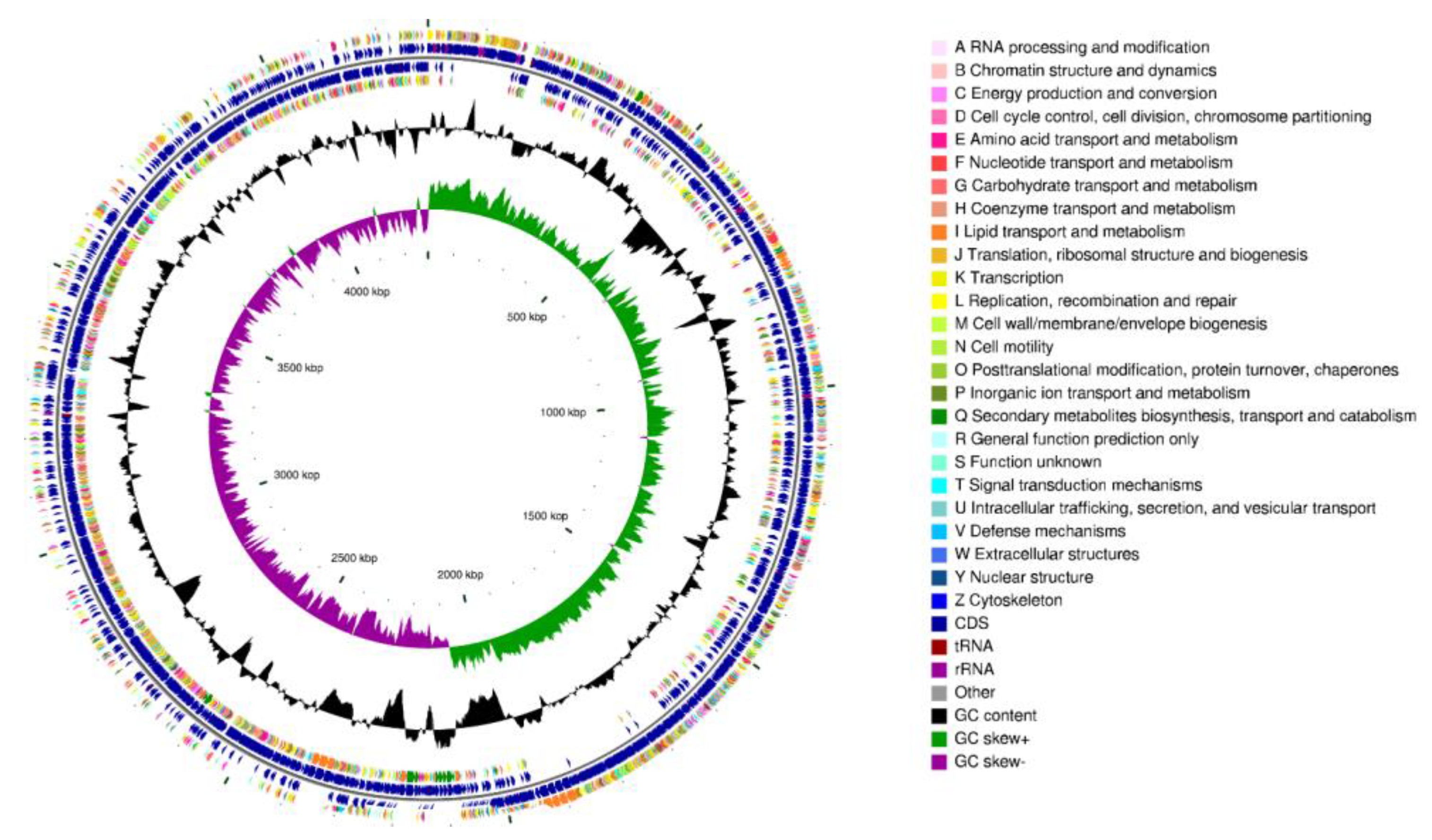 Microorganisms 12 01083 g009