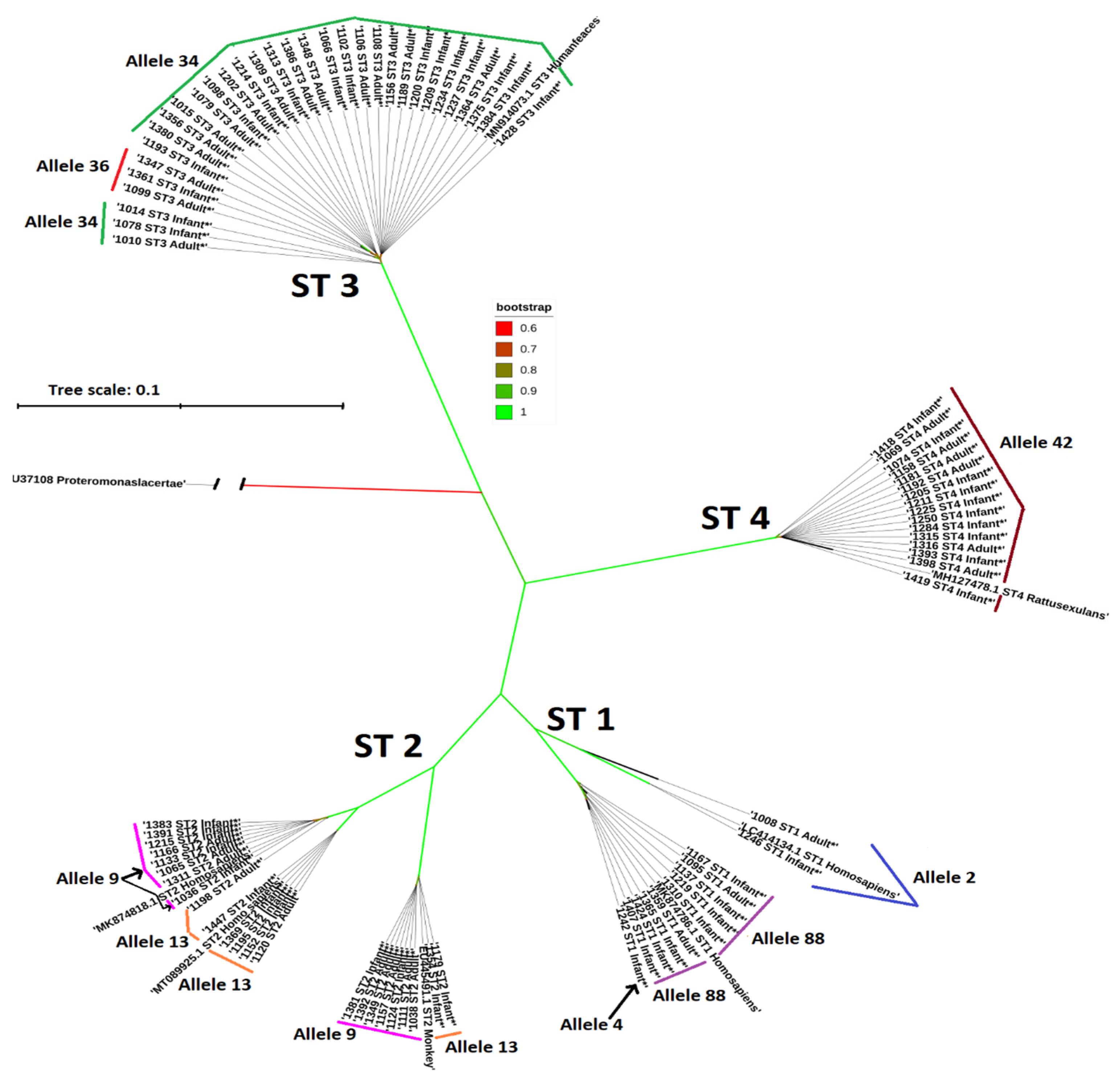 Microorganisms 12 01084 g001 Microorganisms 12 01084 g001