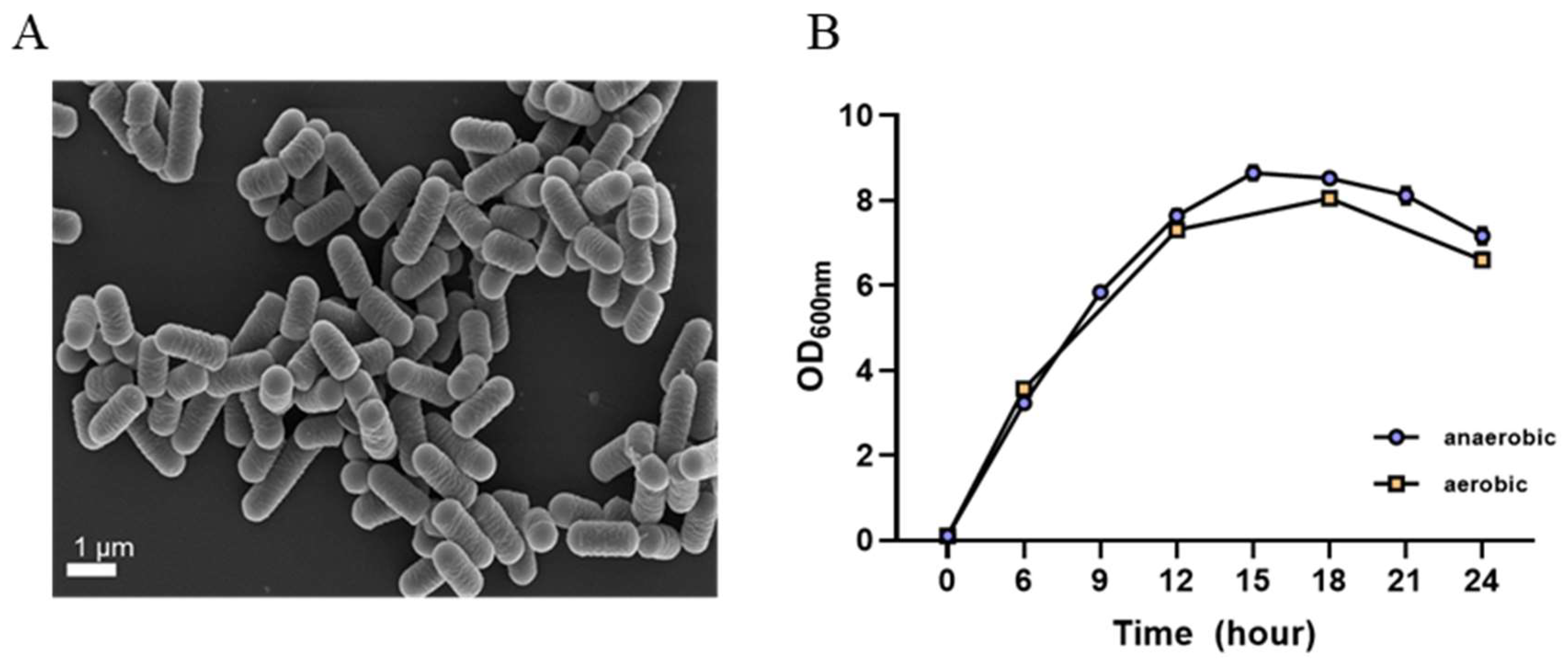 Microorganisms 12 01086 g002