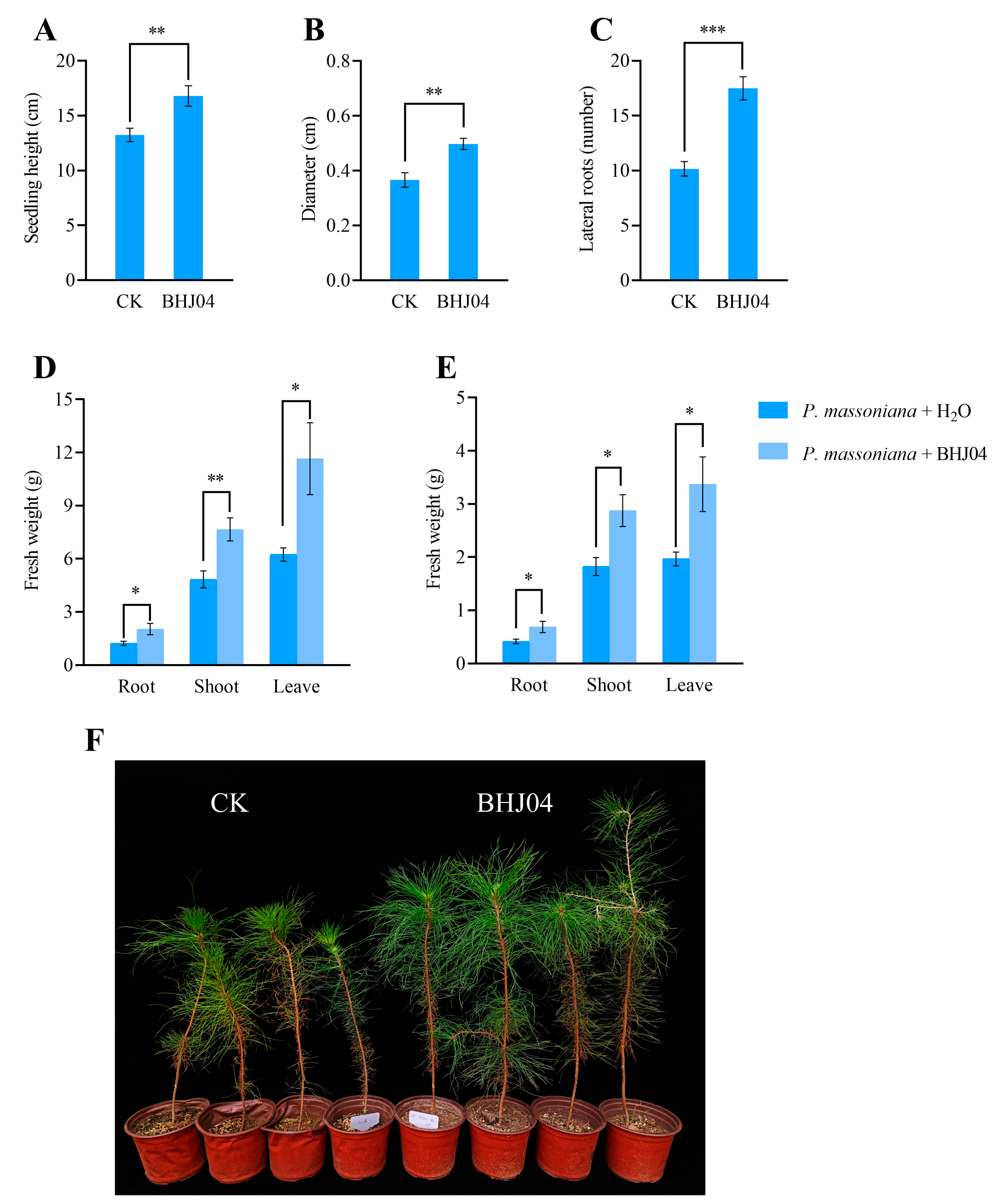 Microorganisms 12 01089 g002