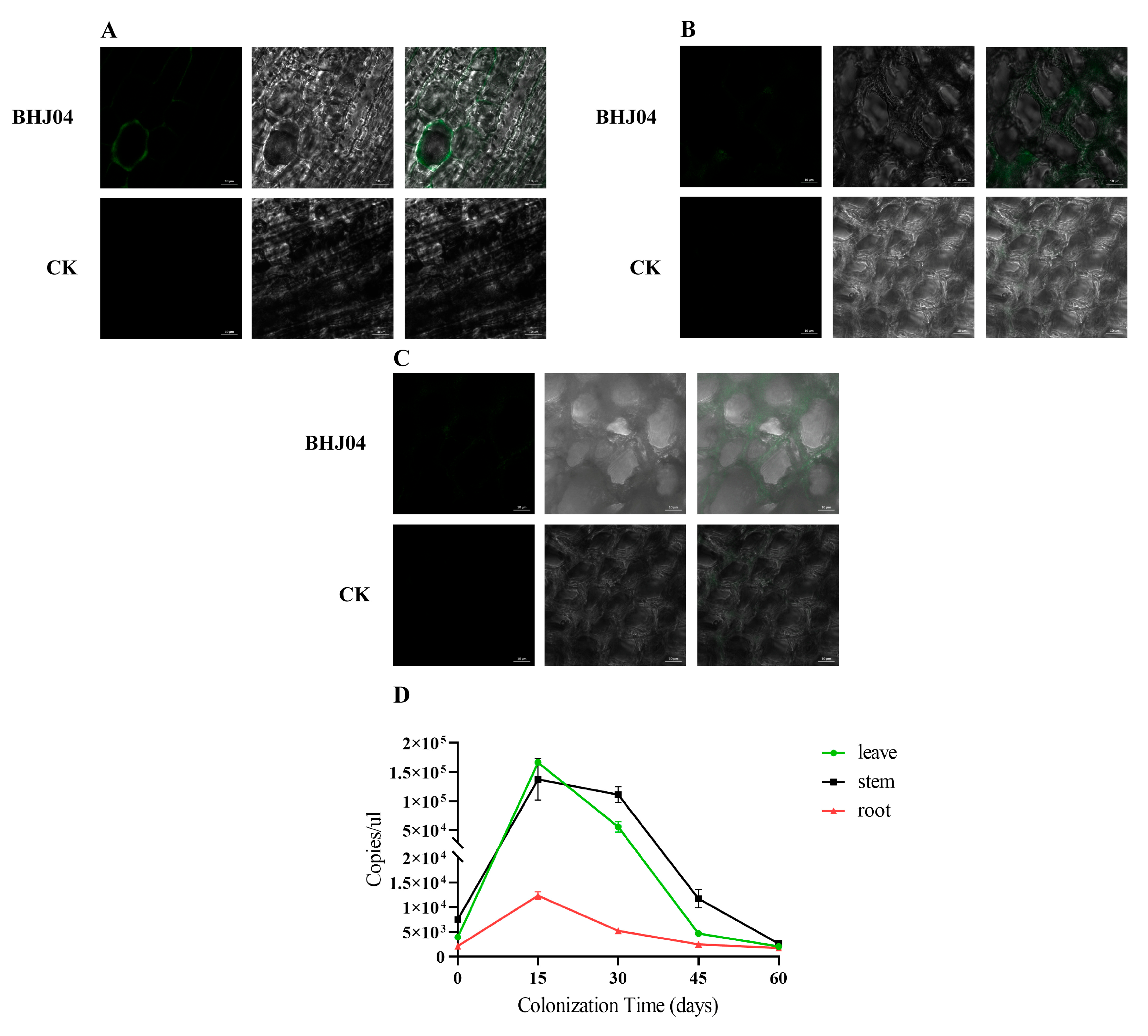 Microorganisms 12 01089 g006