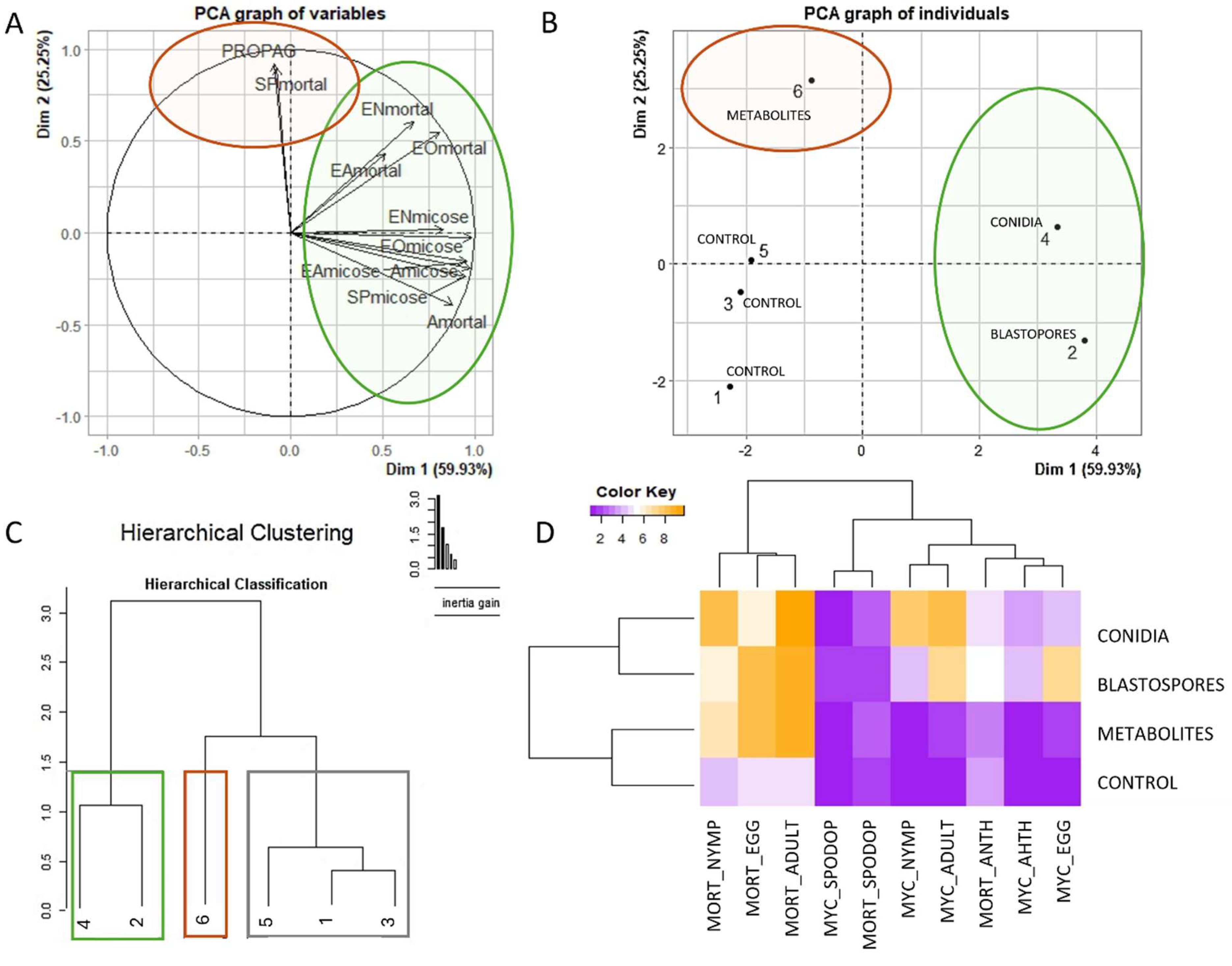 Microorganisms 12 01100 g006