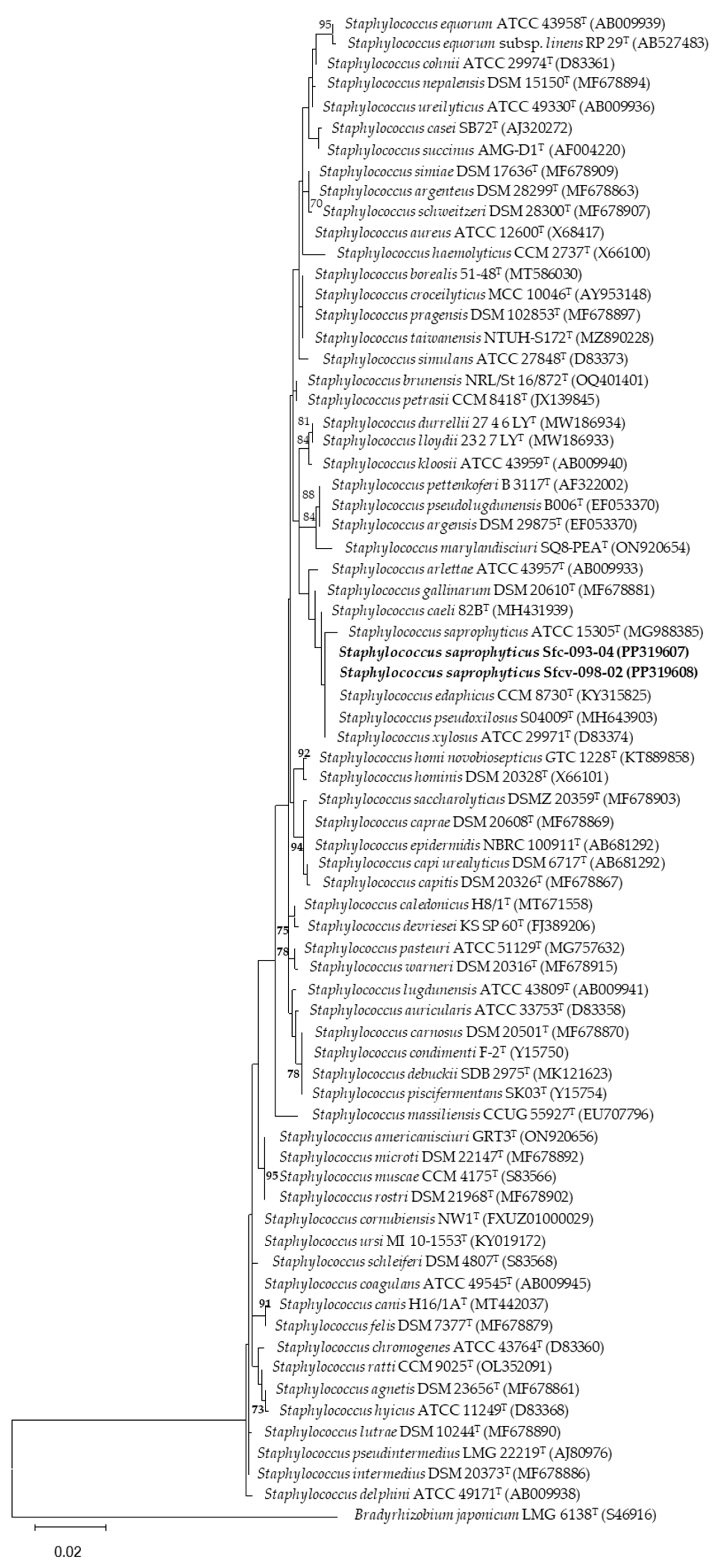 Microorganisms 12 01101 g005