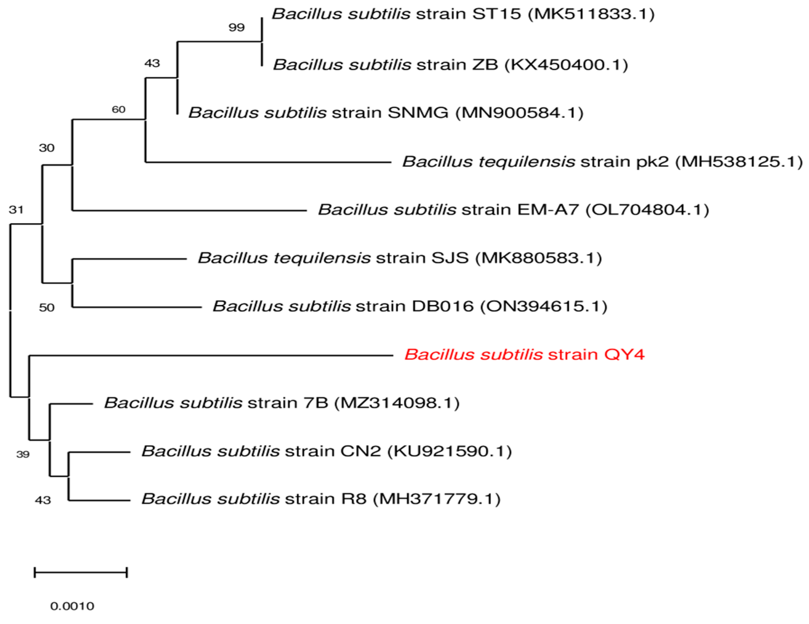 Microorganisms 12 01106 g003