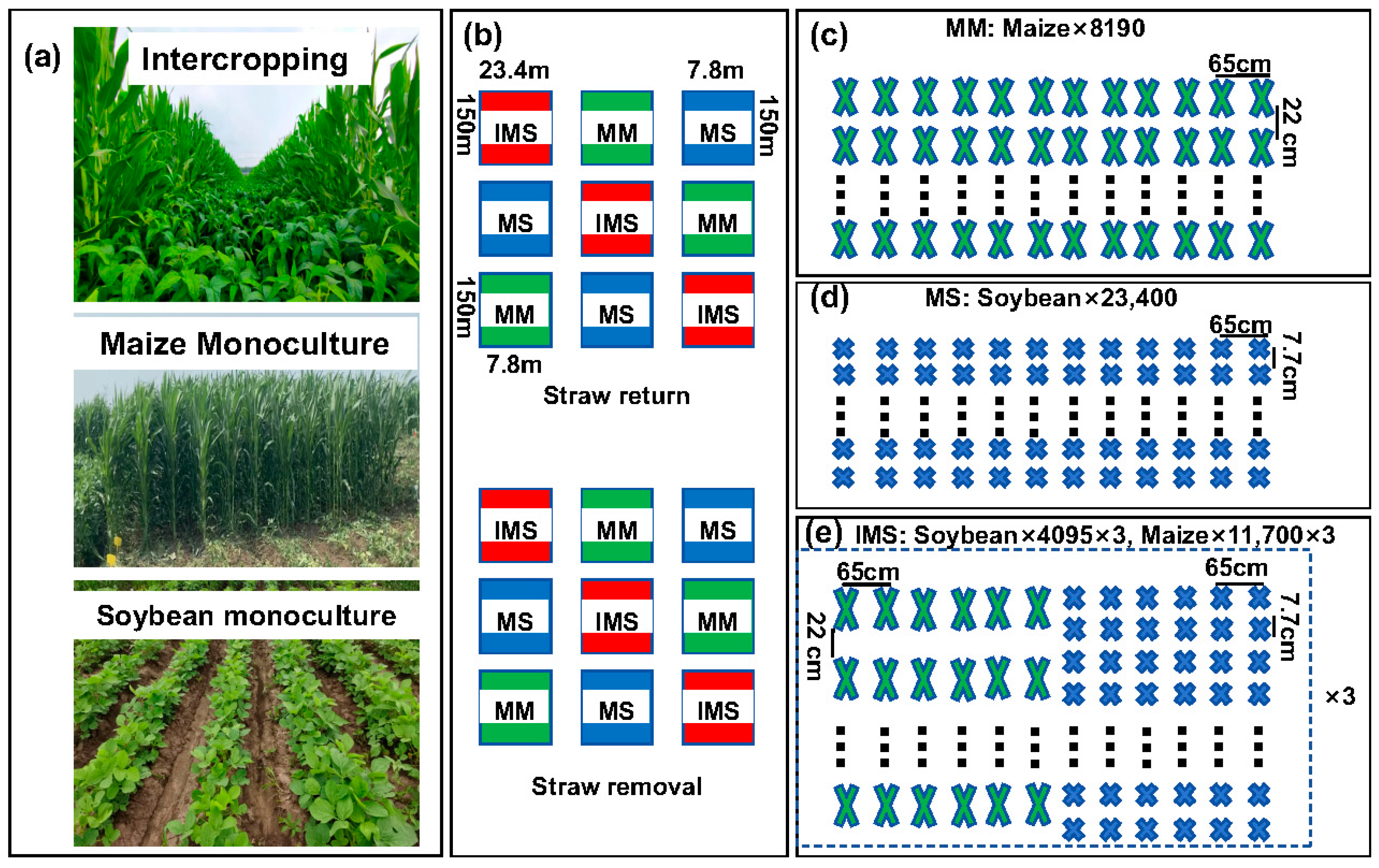 Microorganisms 12 01108 g002