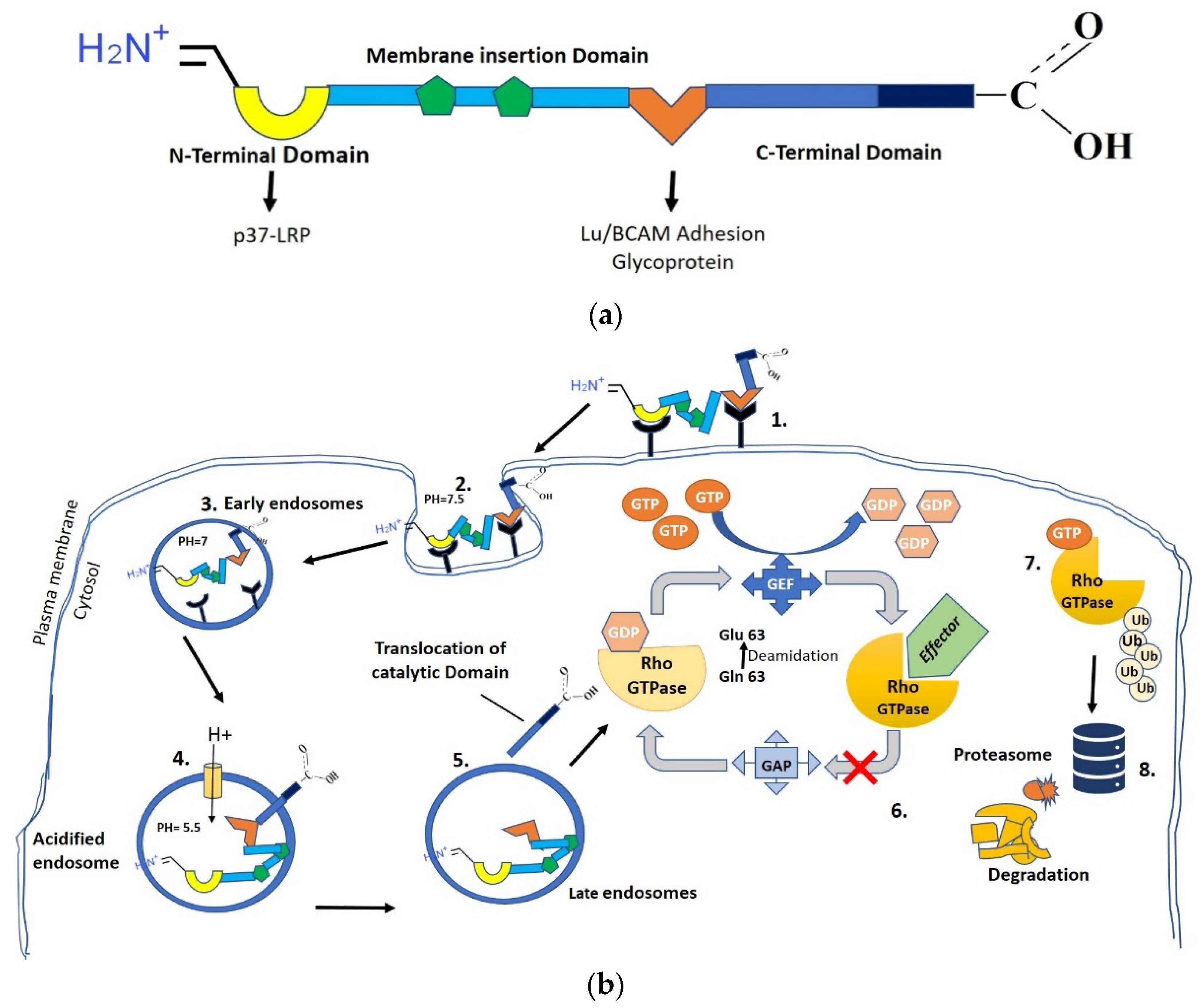 Microorganisms 12 01111 g001