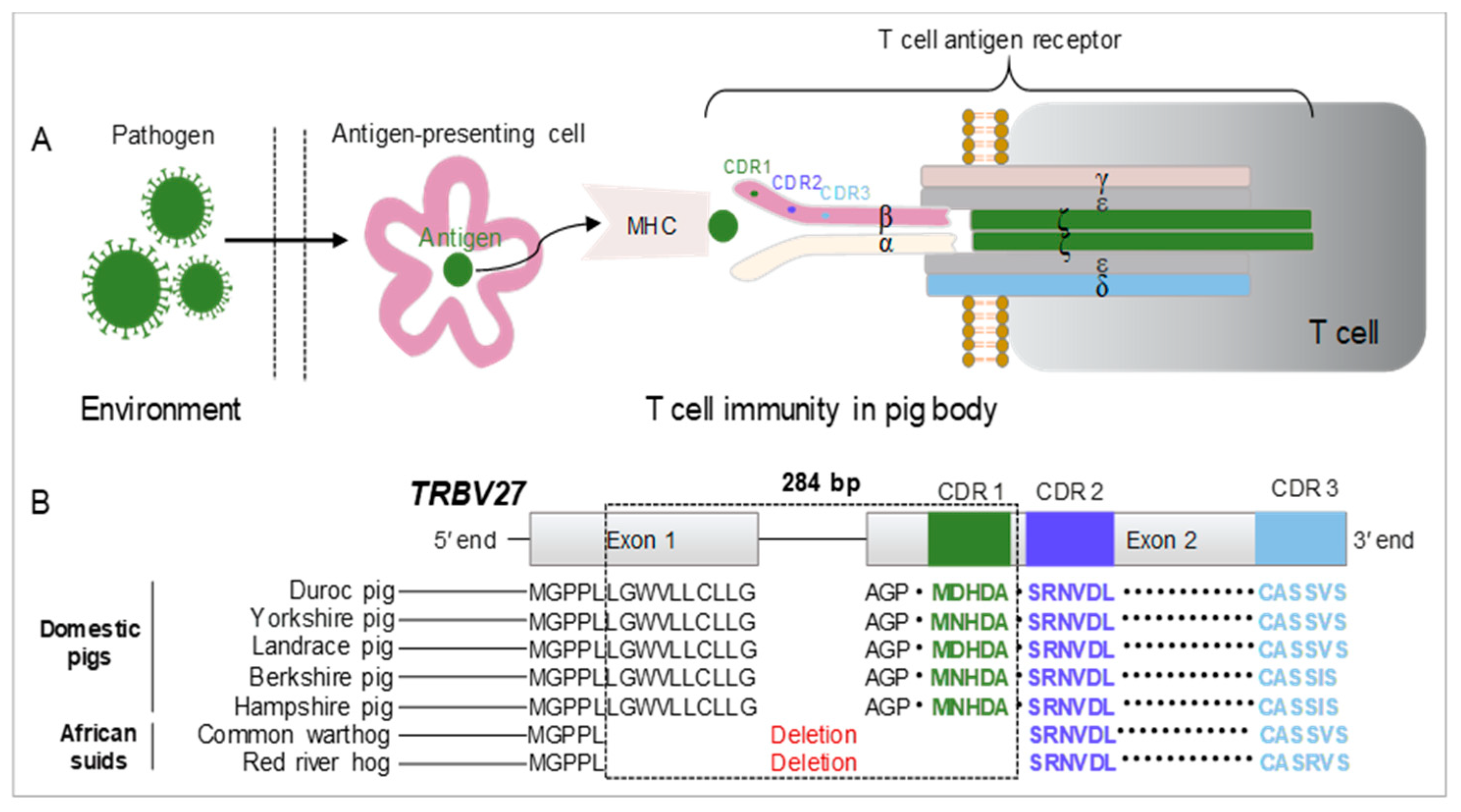 Microorganisms 12 01113 g001