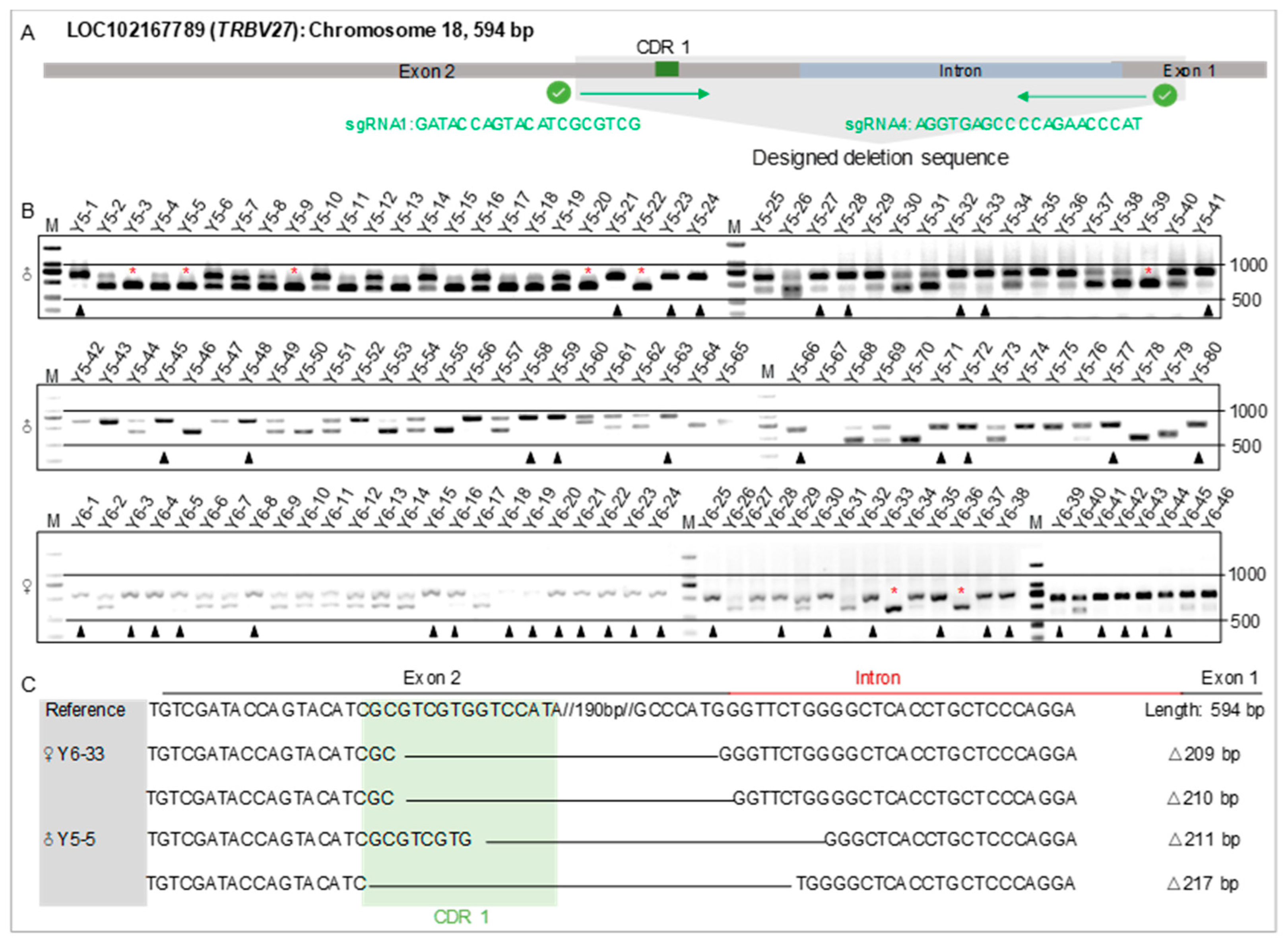Microorganisms 12 01113 g003