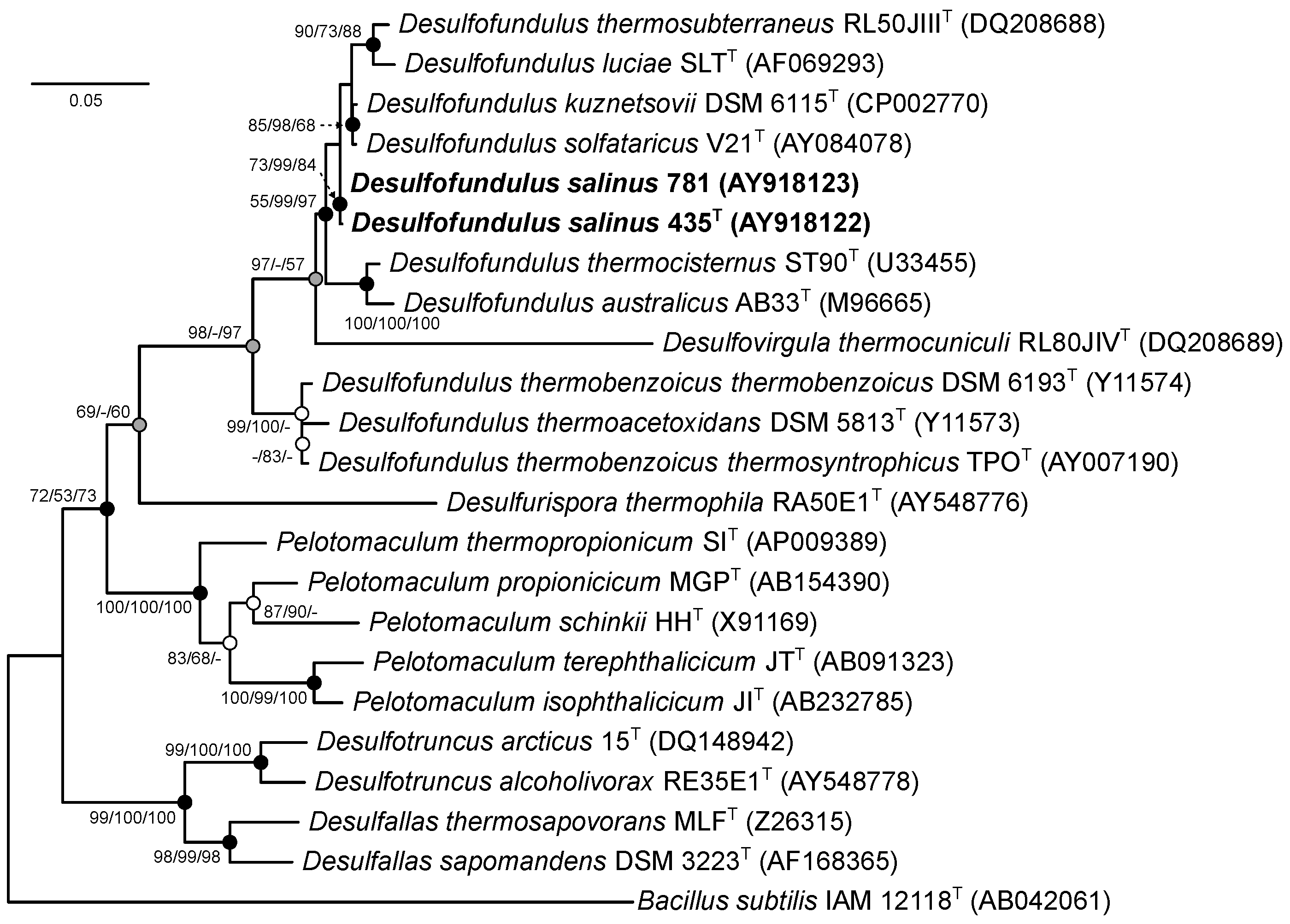 Microorganisms 12 01115 g001
