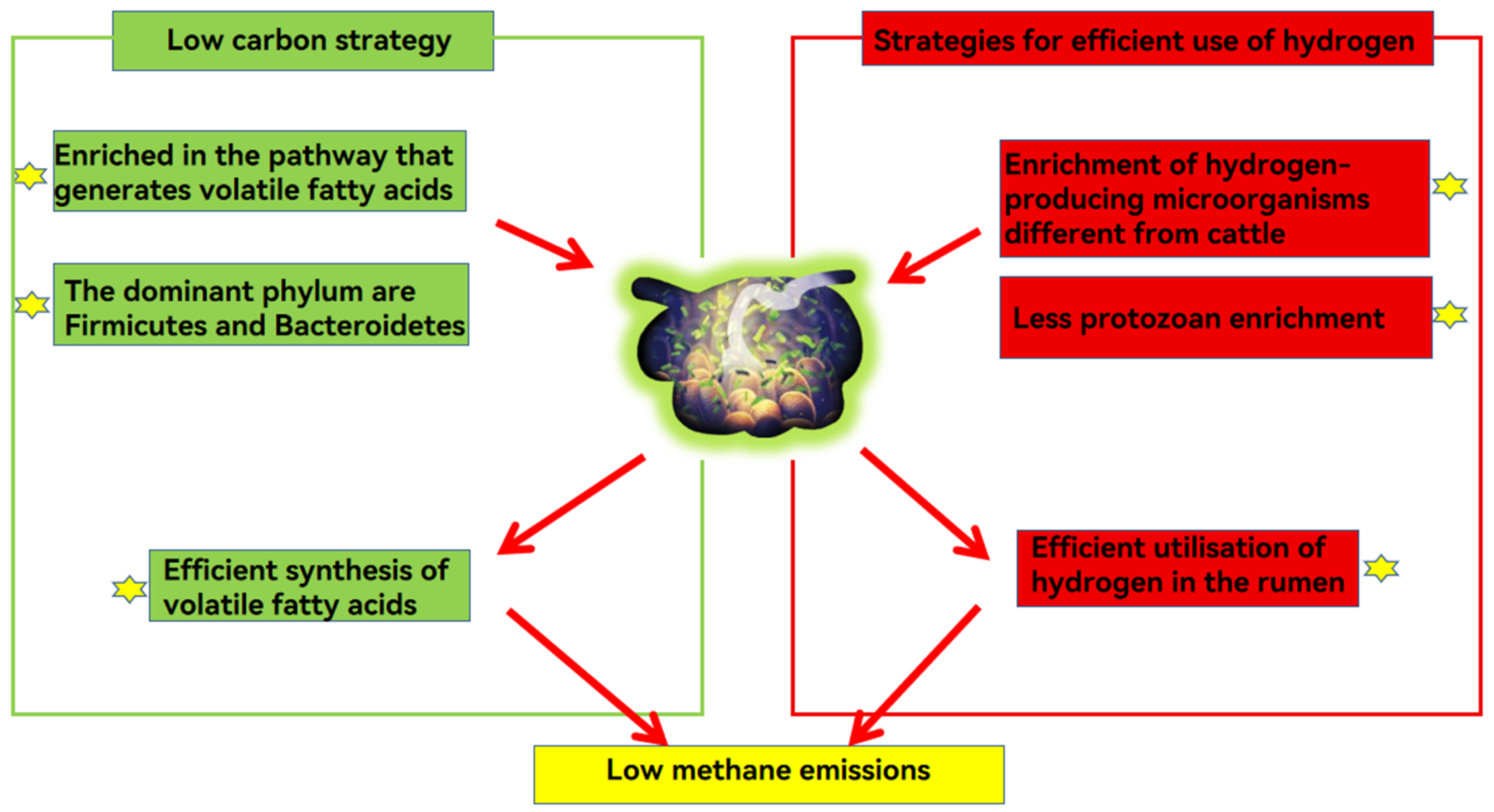 Microorganisms 12 01122 g002