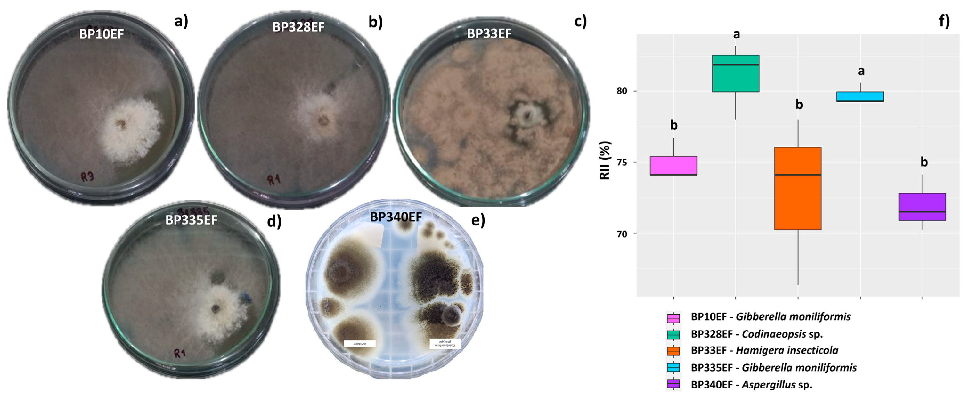 Microorganisms 12 01124 g002