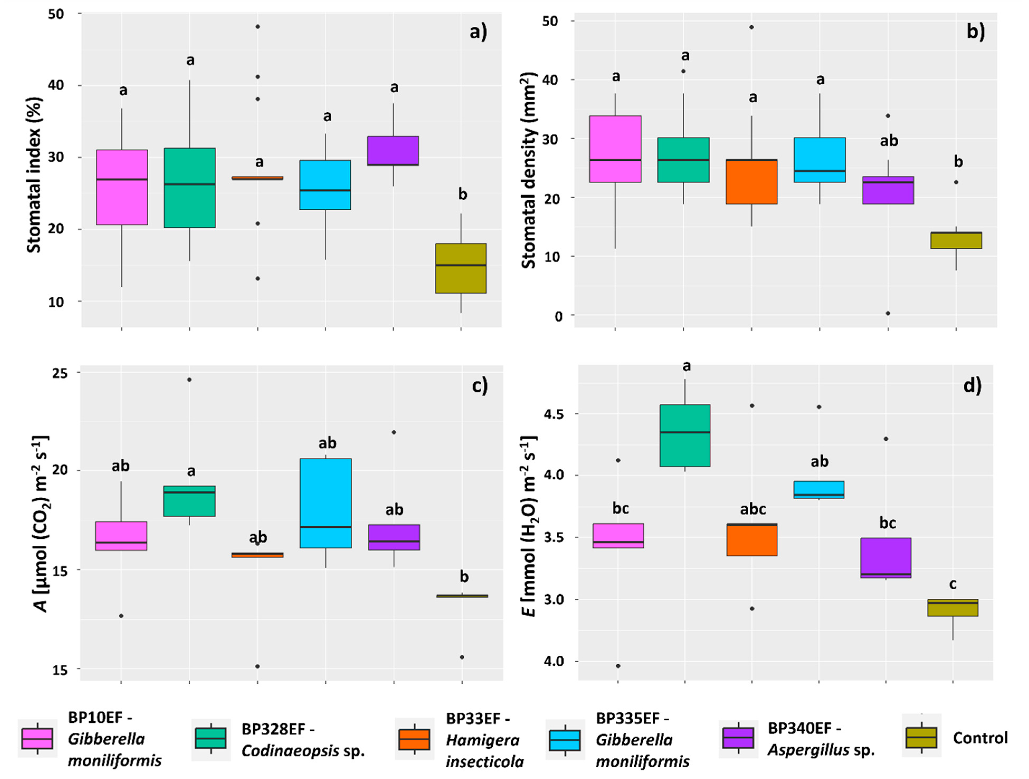 Microorganisms 12 01124 g004