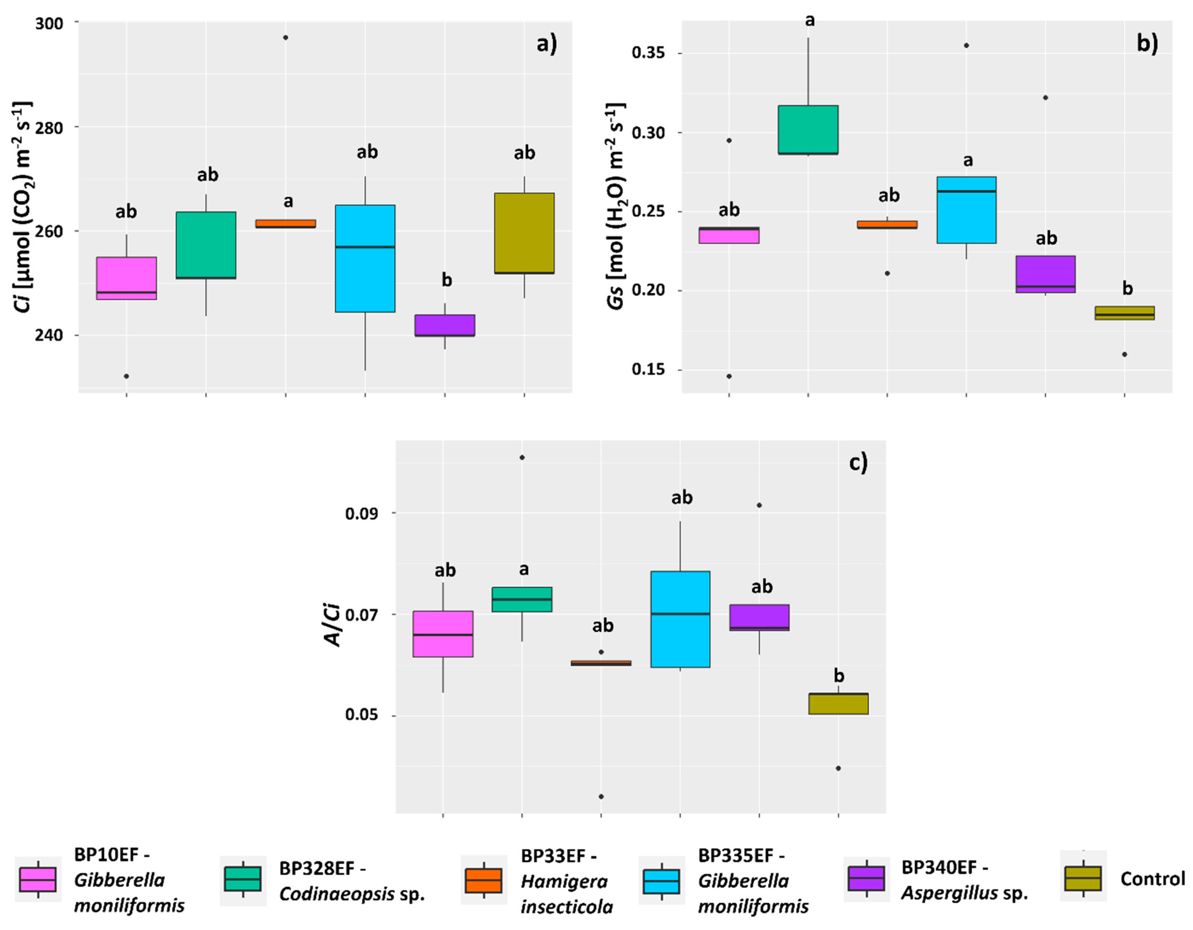Microorganisms 12 01124 g005