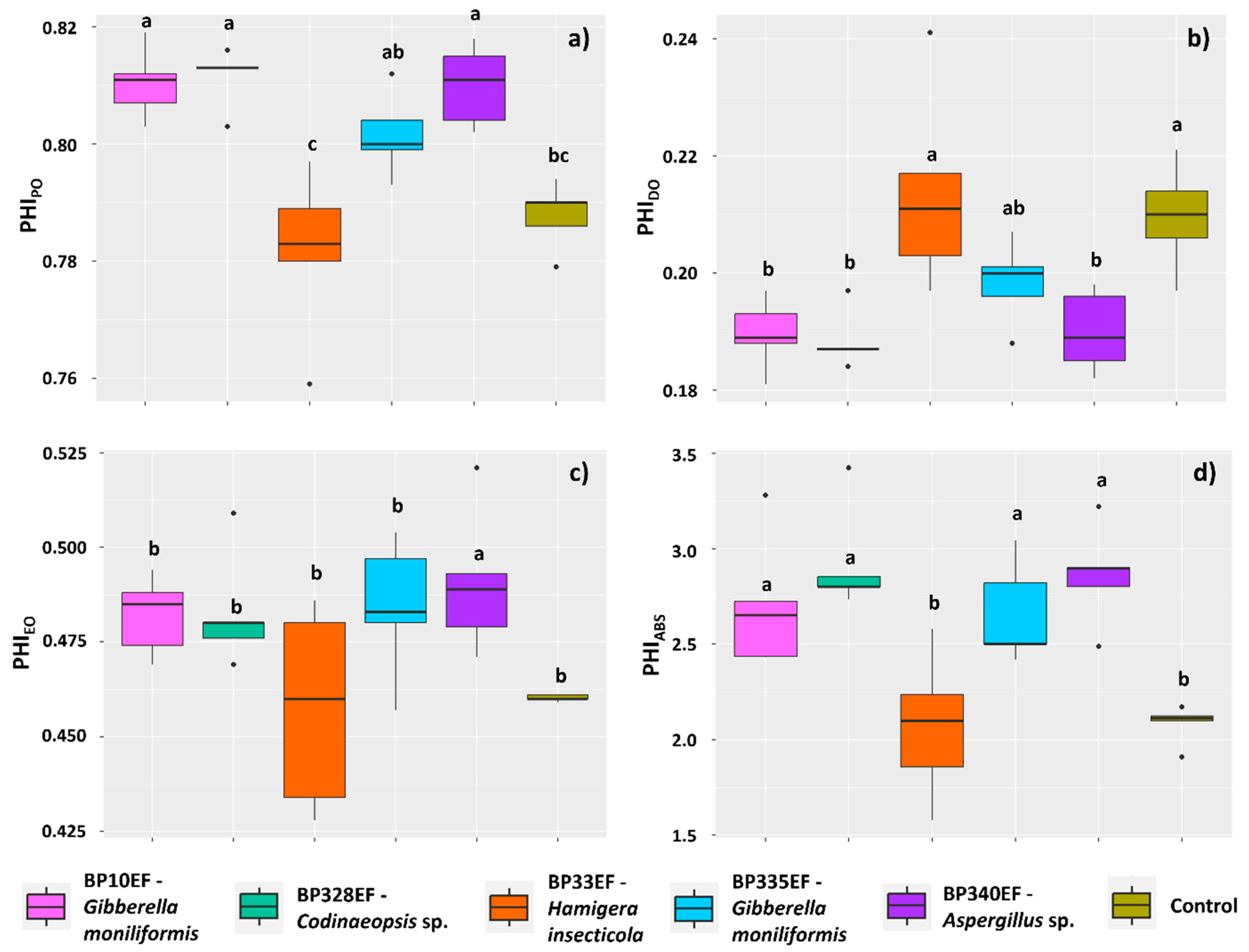 Microorganisms 12 01124 g007