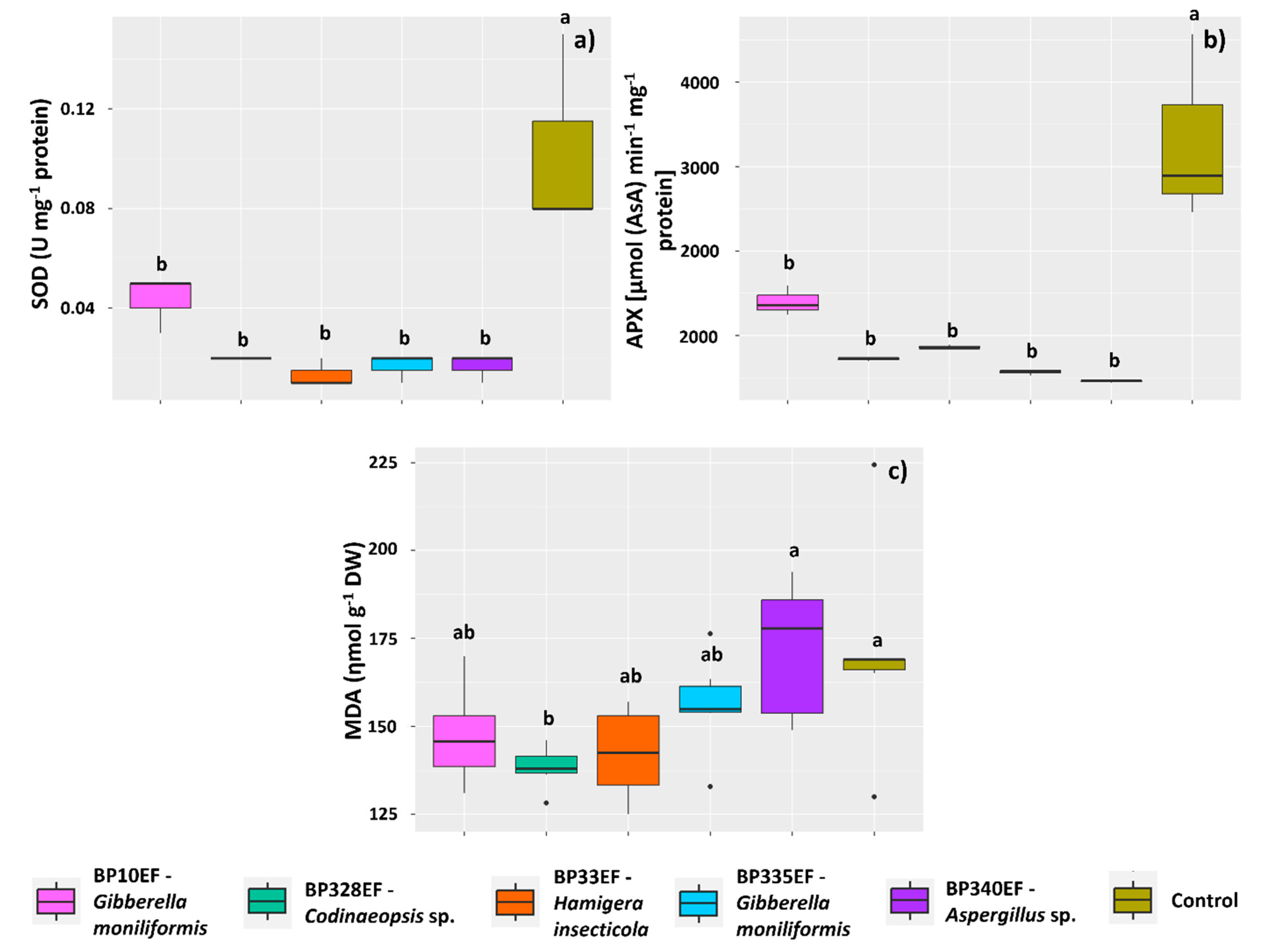 Microorganisms 12 01124 g009