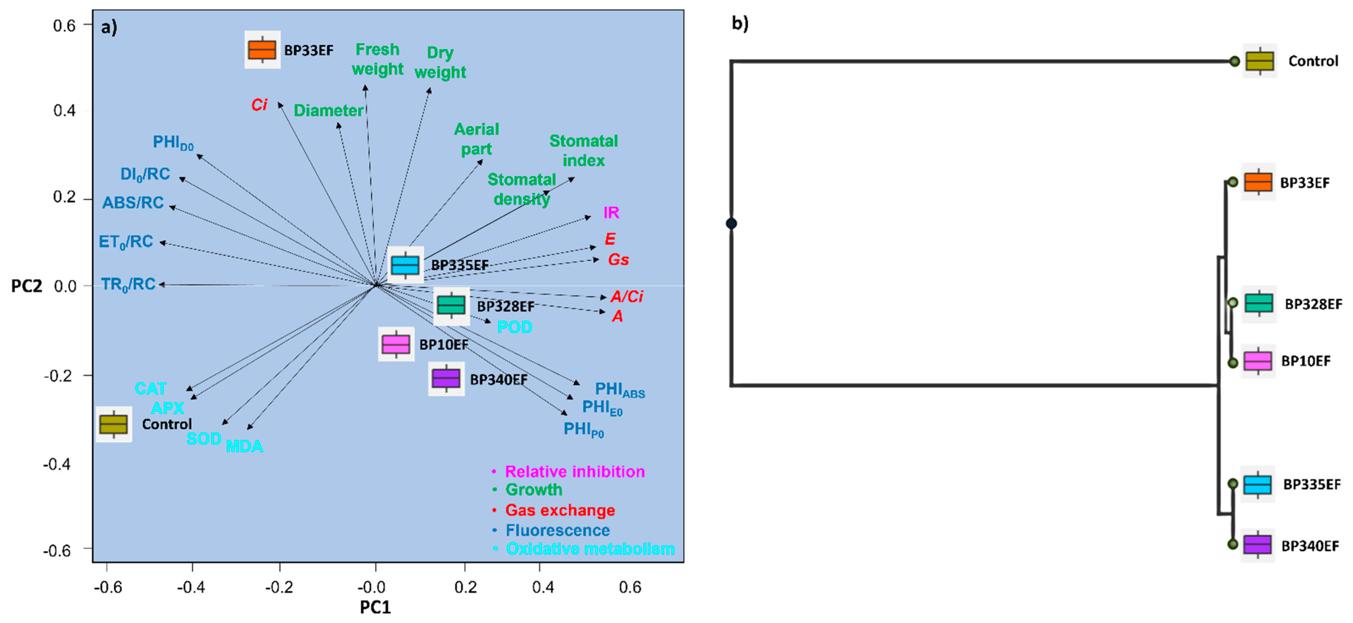 Microorganisms 12 01124 g010