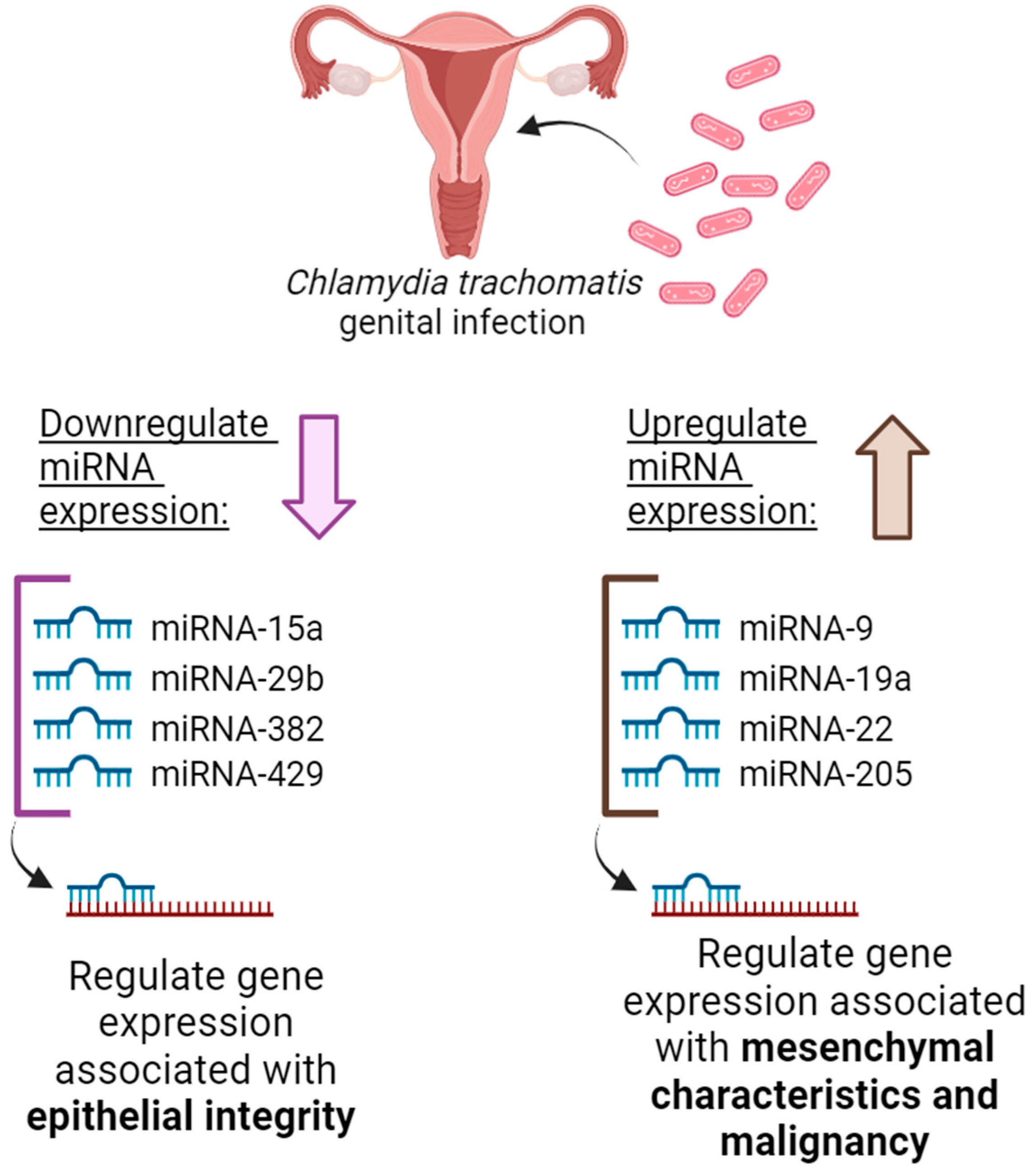 Microorganisms 12 01126 g002