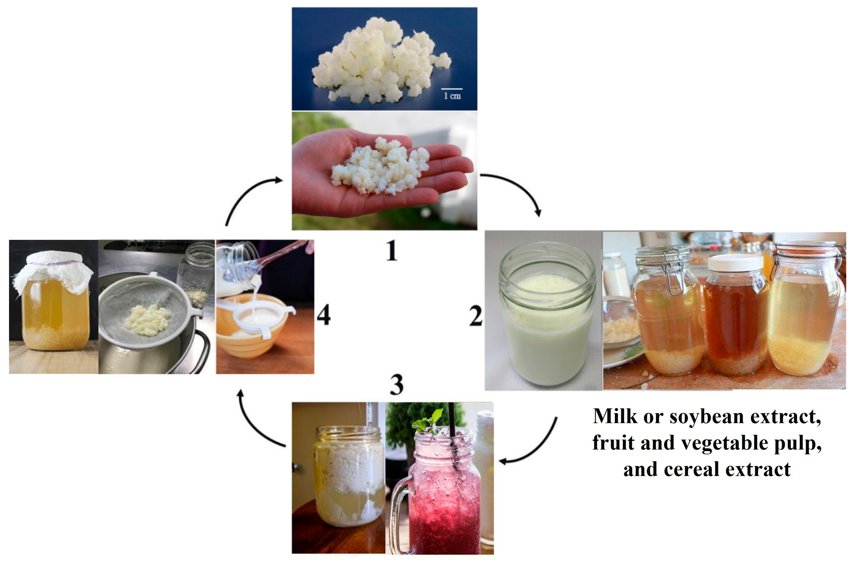 Microorganisms 12 01127 g005