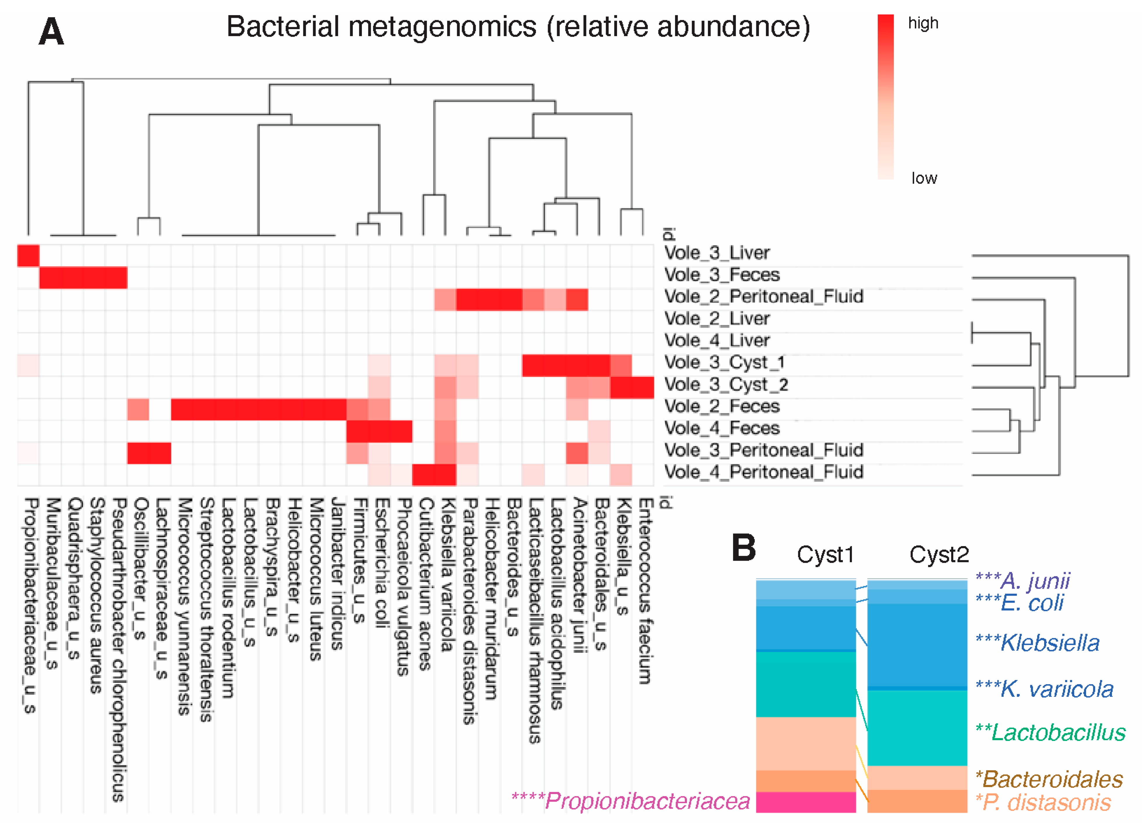 Microorganisms 12 01130 g002