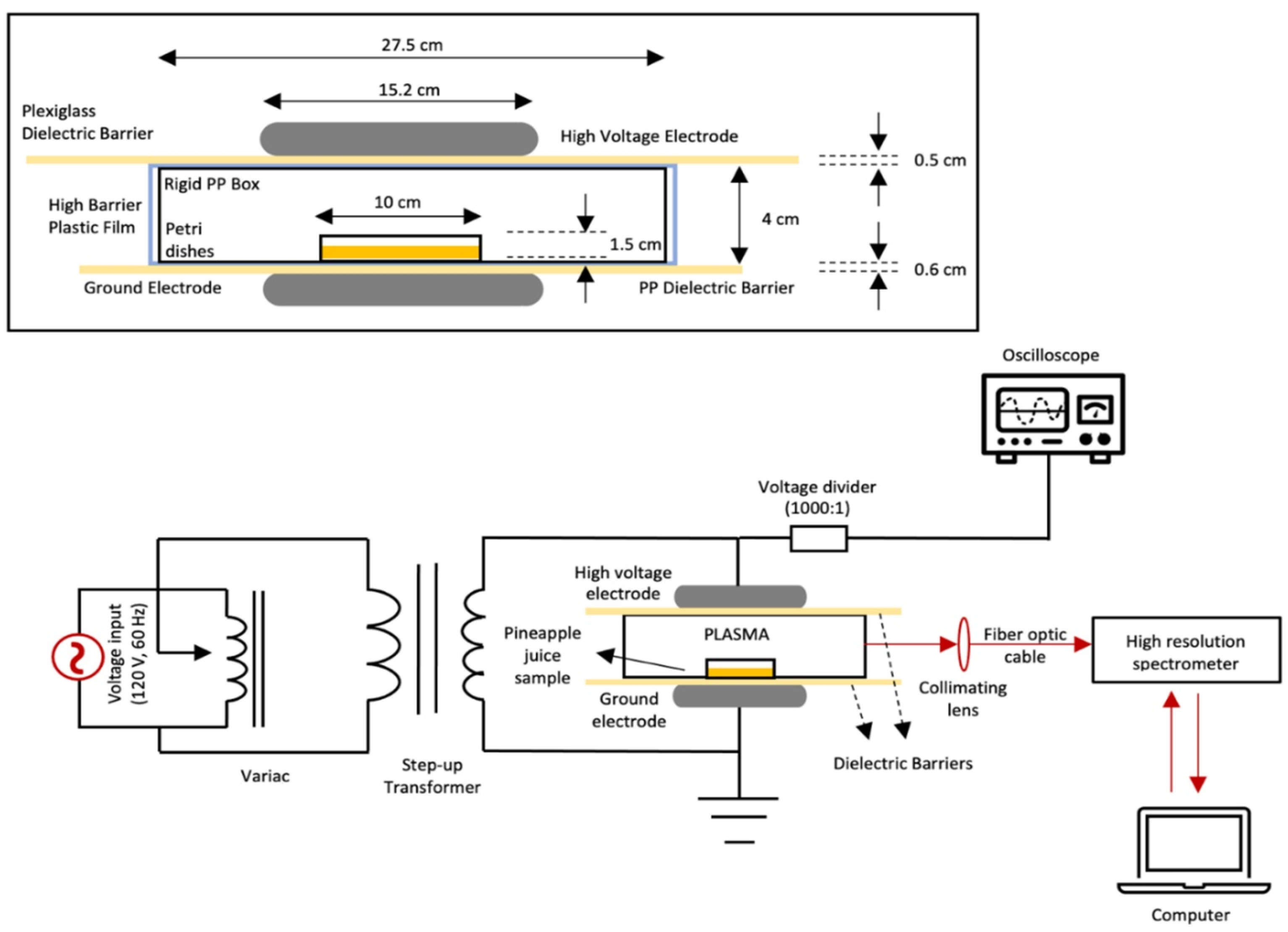 Microorganisms 12 01131 g001