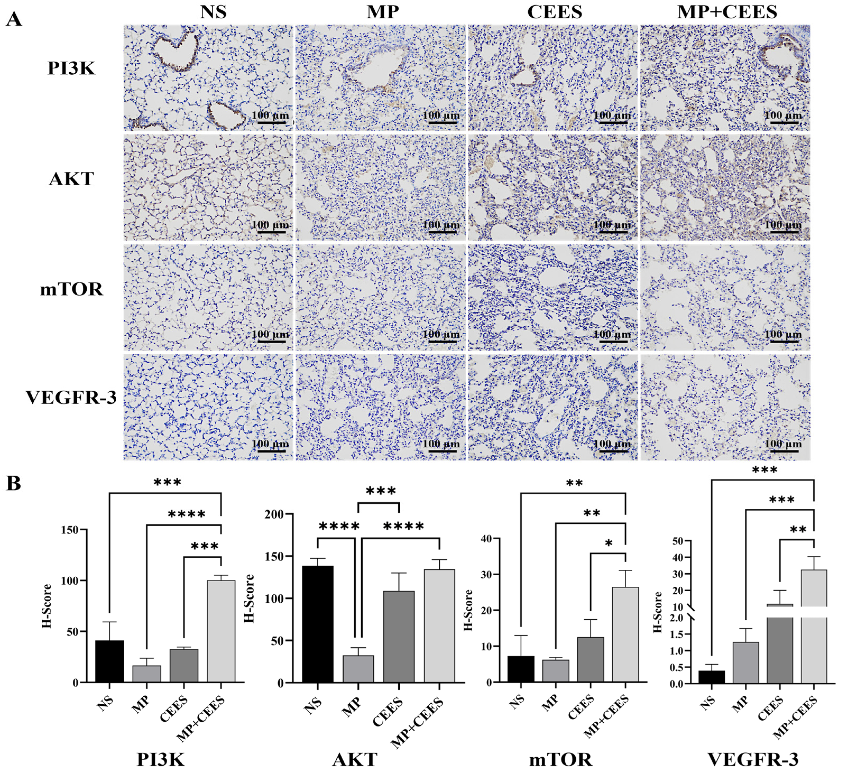 Microorganisms 12 01132 g004