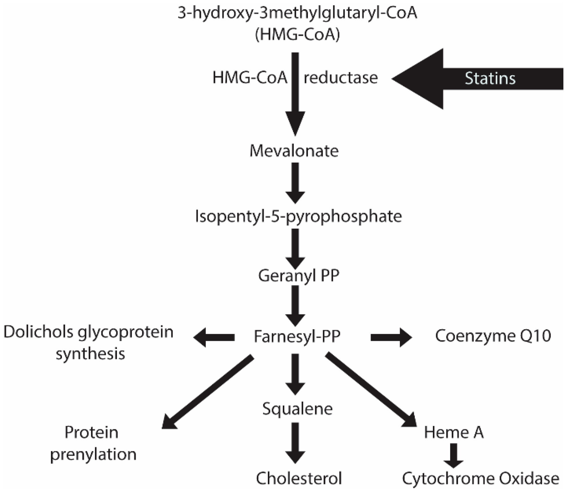 Microorganisms 12 01133 g001