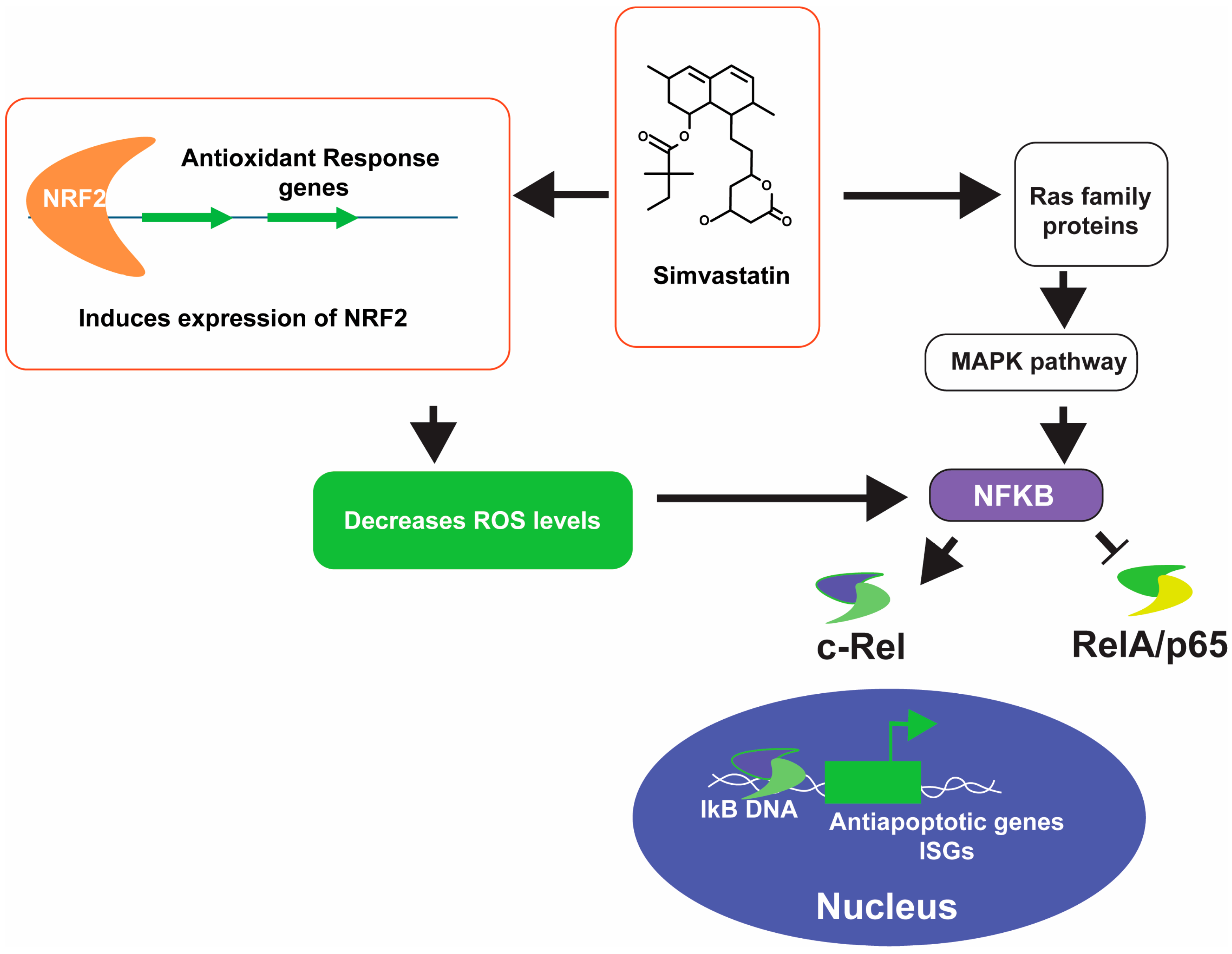Microorganisms 12 01133 g002